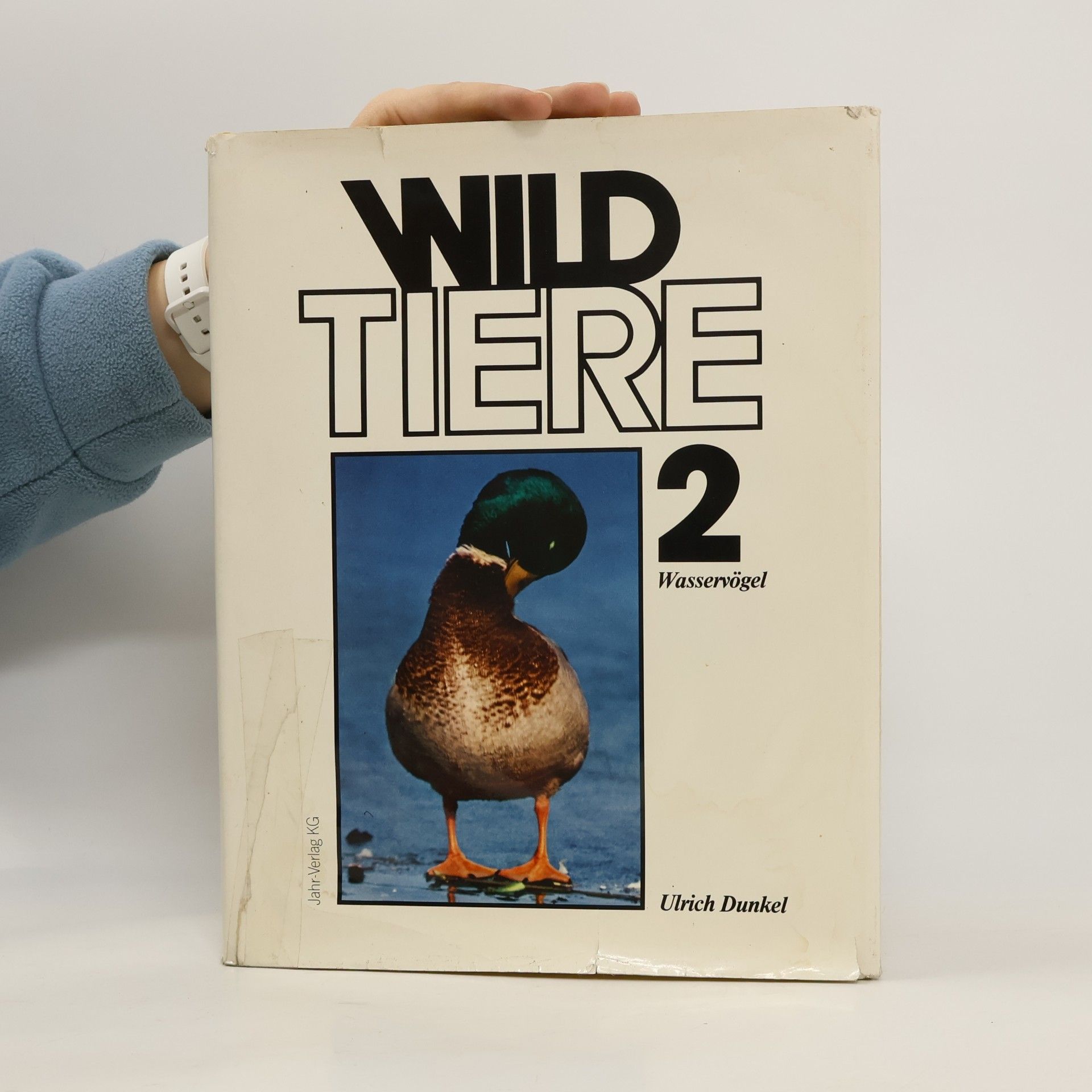 Ulrich Dunkel Wild Tiere 2.