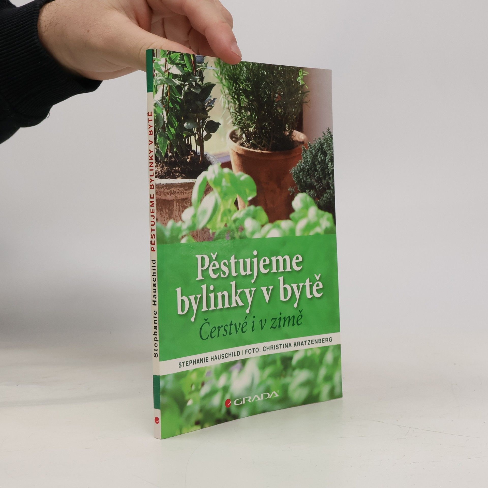 Pěstujeme bylinky v bytě. Čerstvé i v zimě