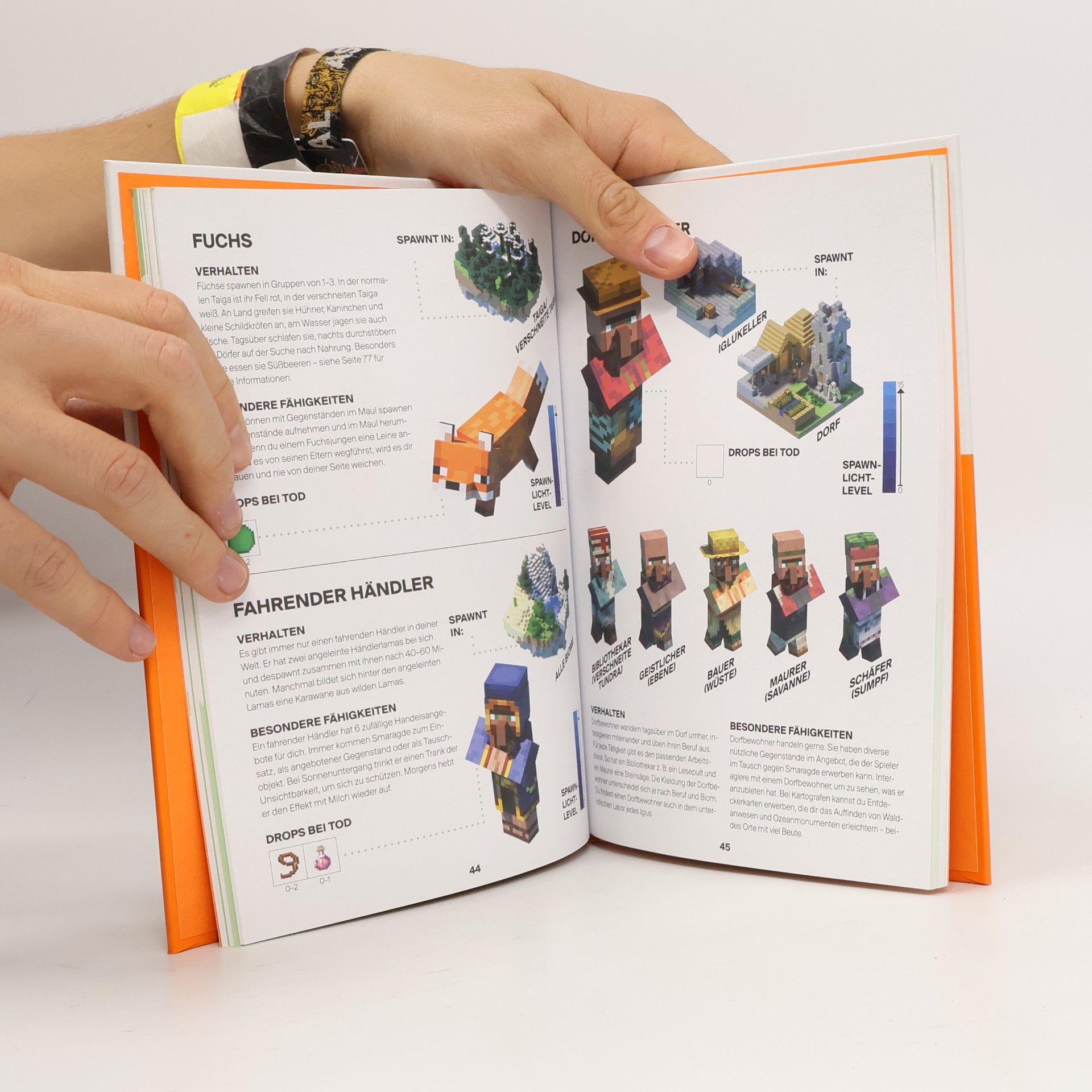 Stephanie Milton Minecraft, Handbuch für Eroberer