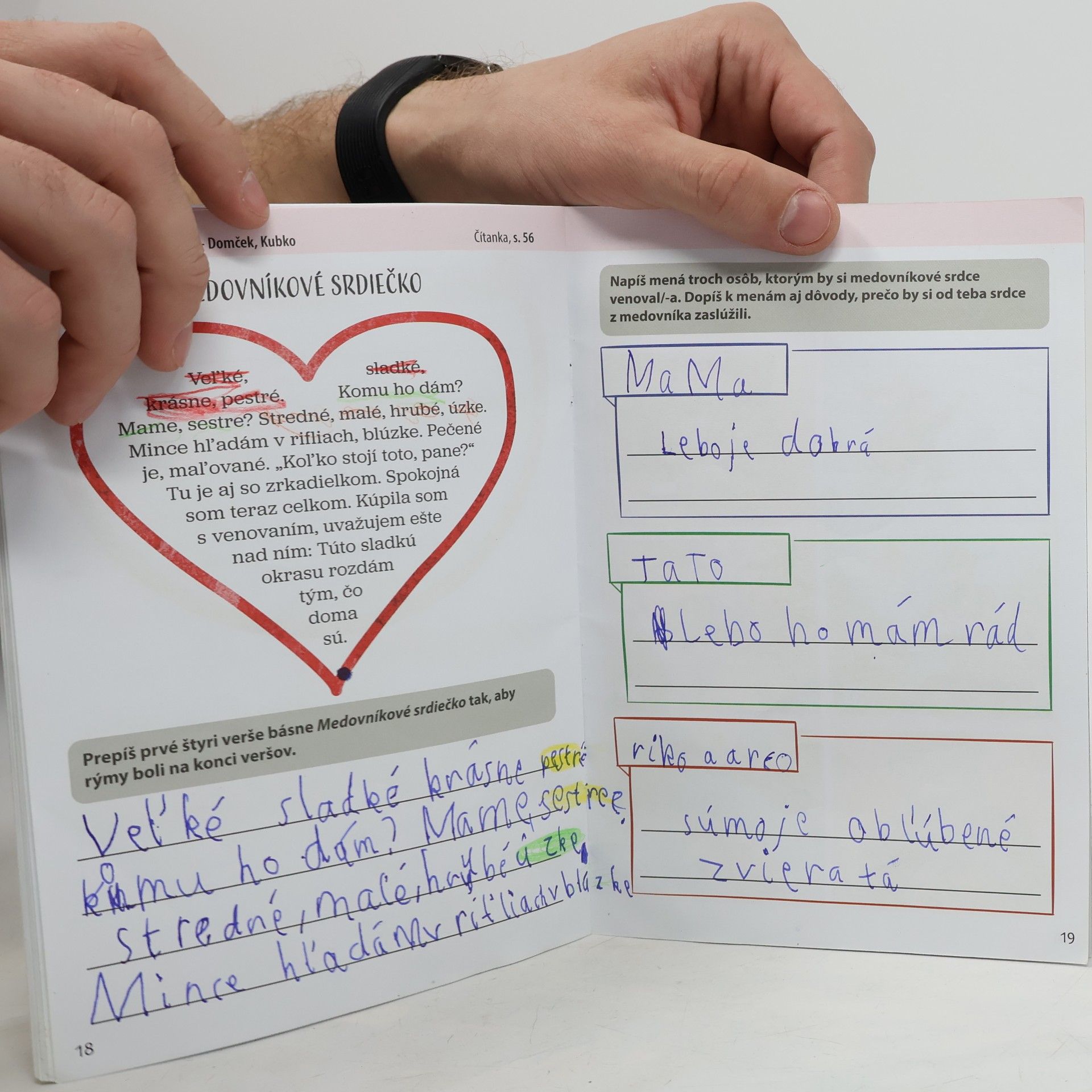 Kolektiv autorů ZAČÍNAME PÍSAŤ S PISÁROM BRADOM