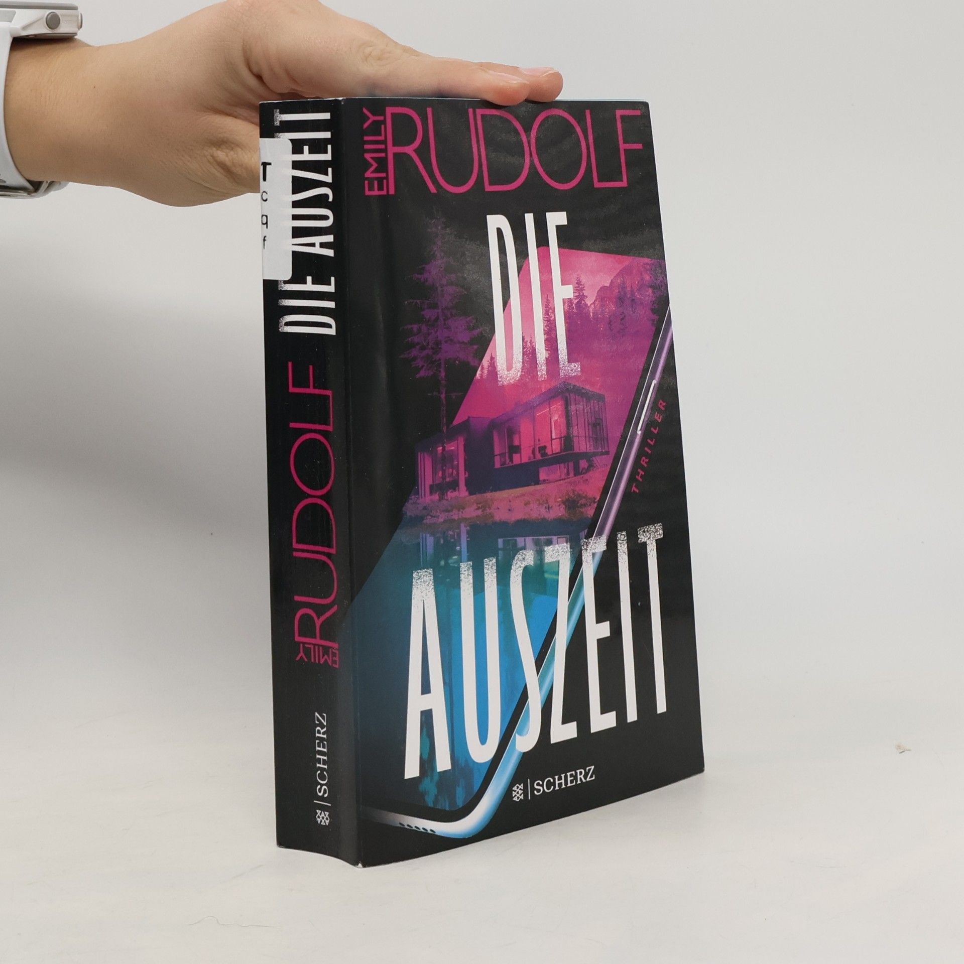 Emily Rudolf Die Auszeit