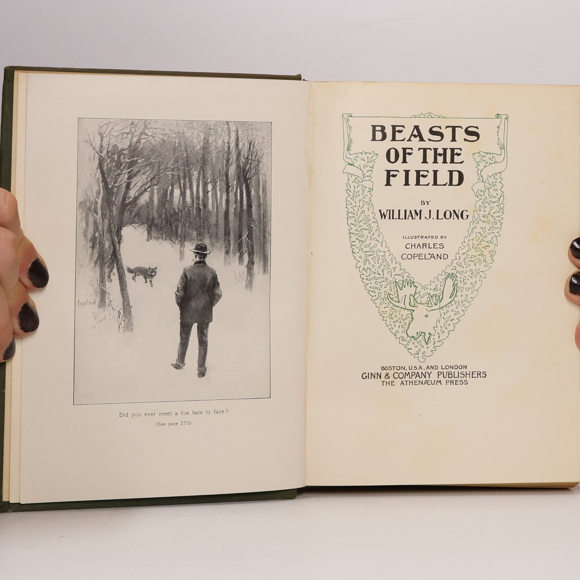 William J. Long Beasts of the Field