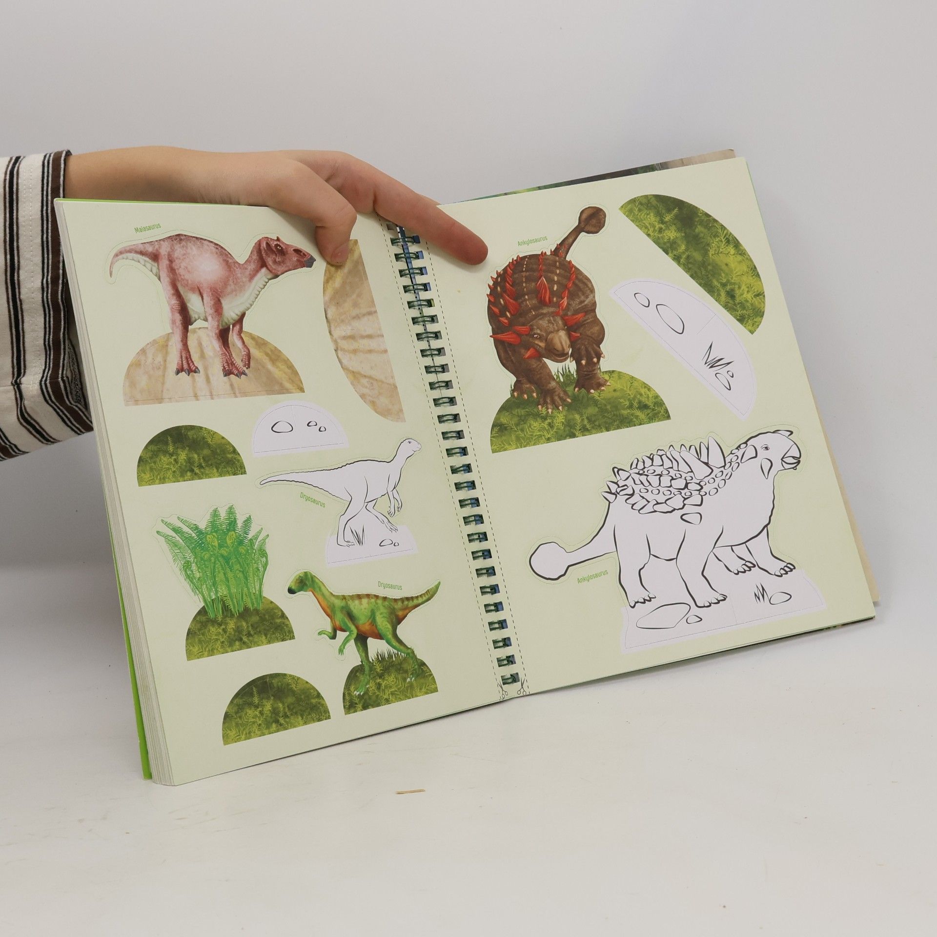 Various authors Activity BOOK