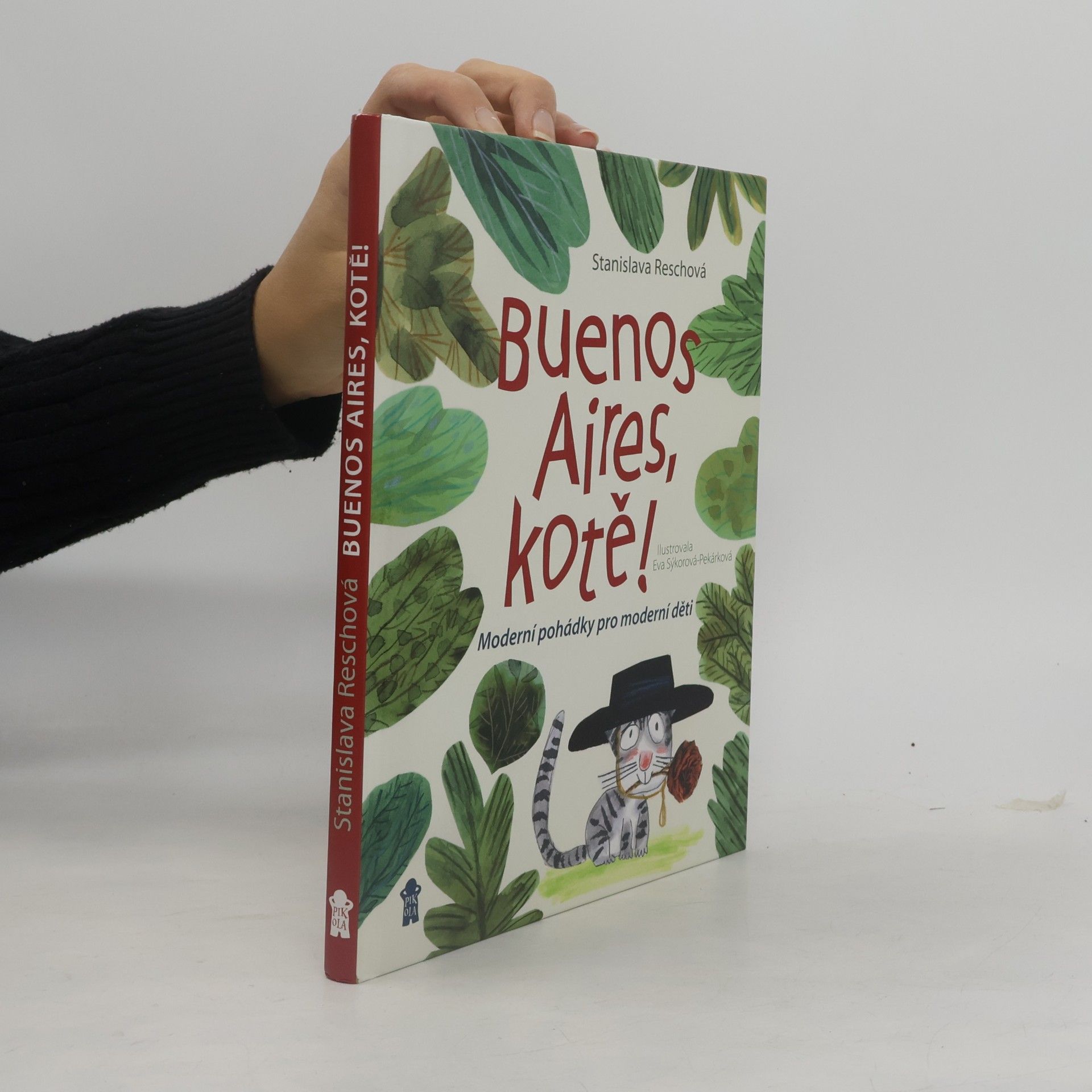 Buenos Aires, kotě
