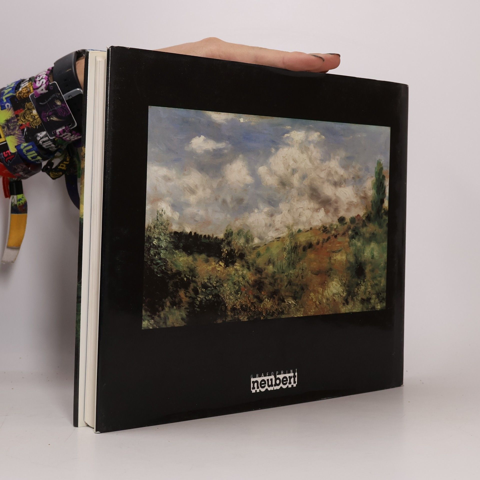 Markéta Janouchová Velcí impresionisté