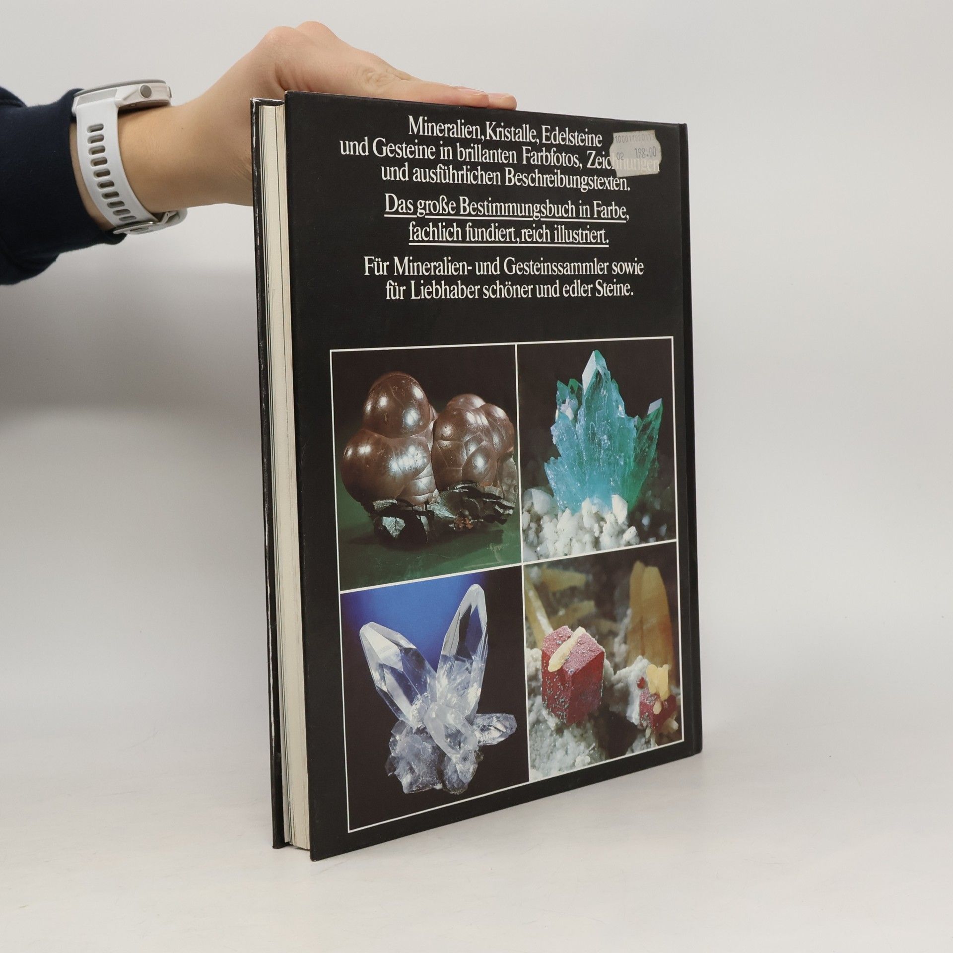 Rupert Hochleitner Fotoatlas der Mineralien und Gesteine
