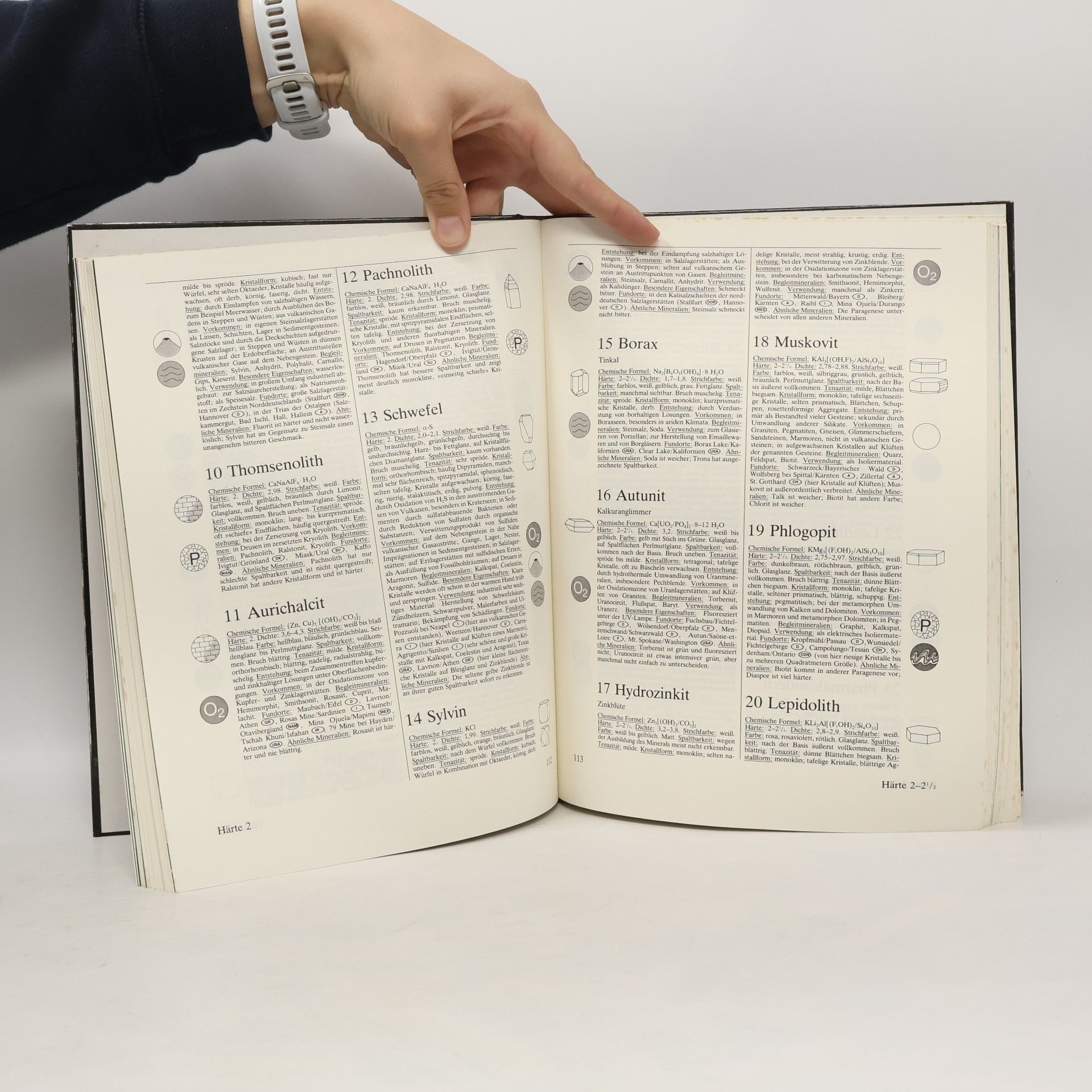 Rupert Hochleitner Fotoatlas der Mineralien und Gesteine