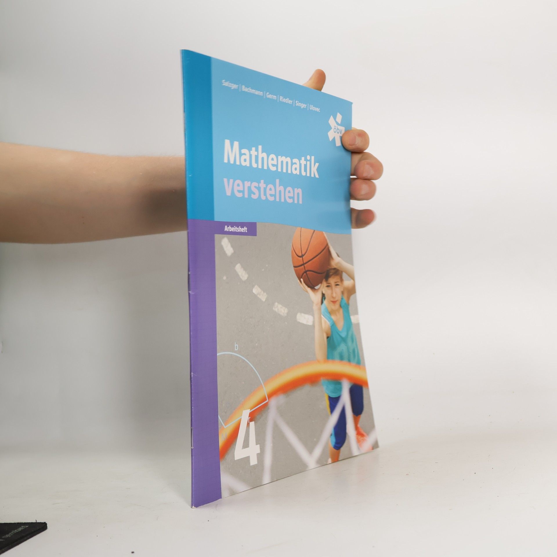 Mathematik verstehen Arbeitsheft