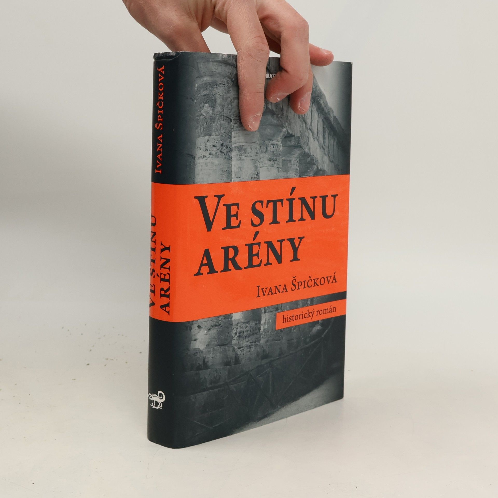 Ve stínu arény