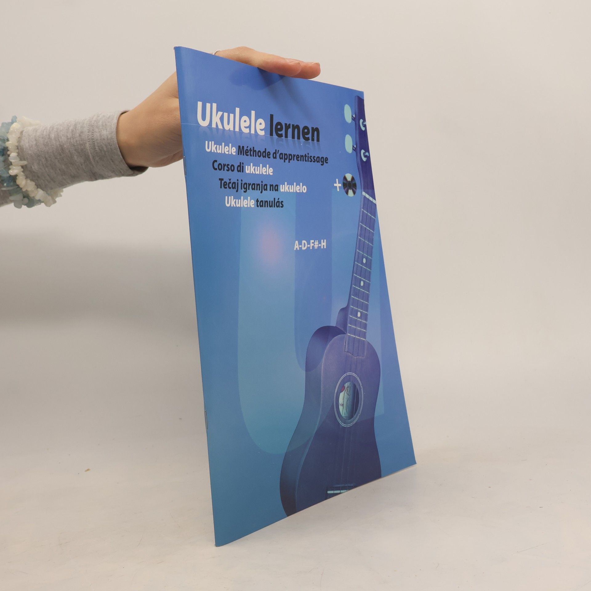 Kolektiv autorů Ukulele lernen