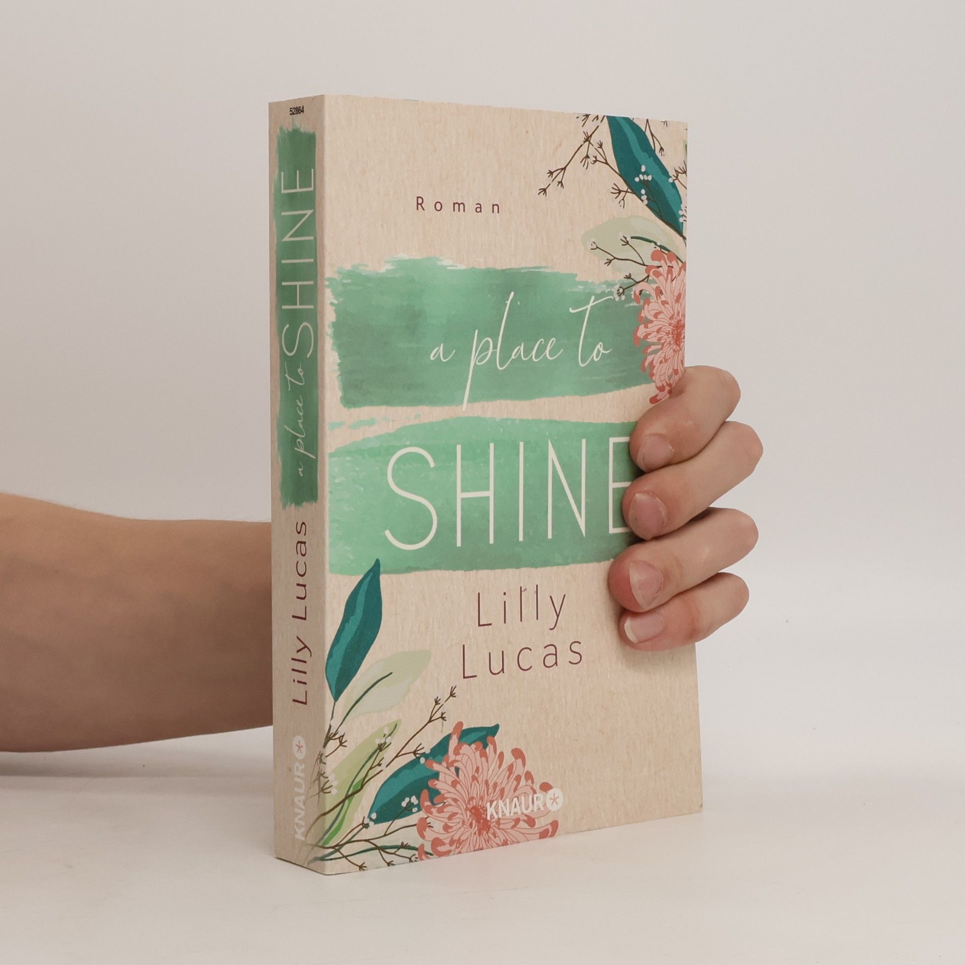 Lilly Lucas A Place to Shine