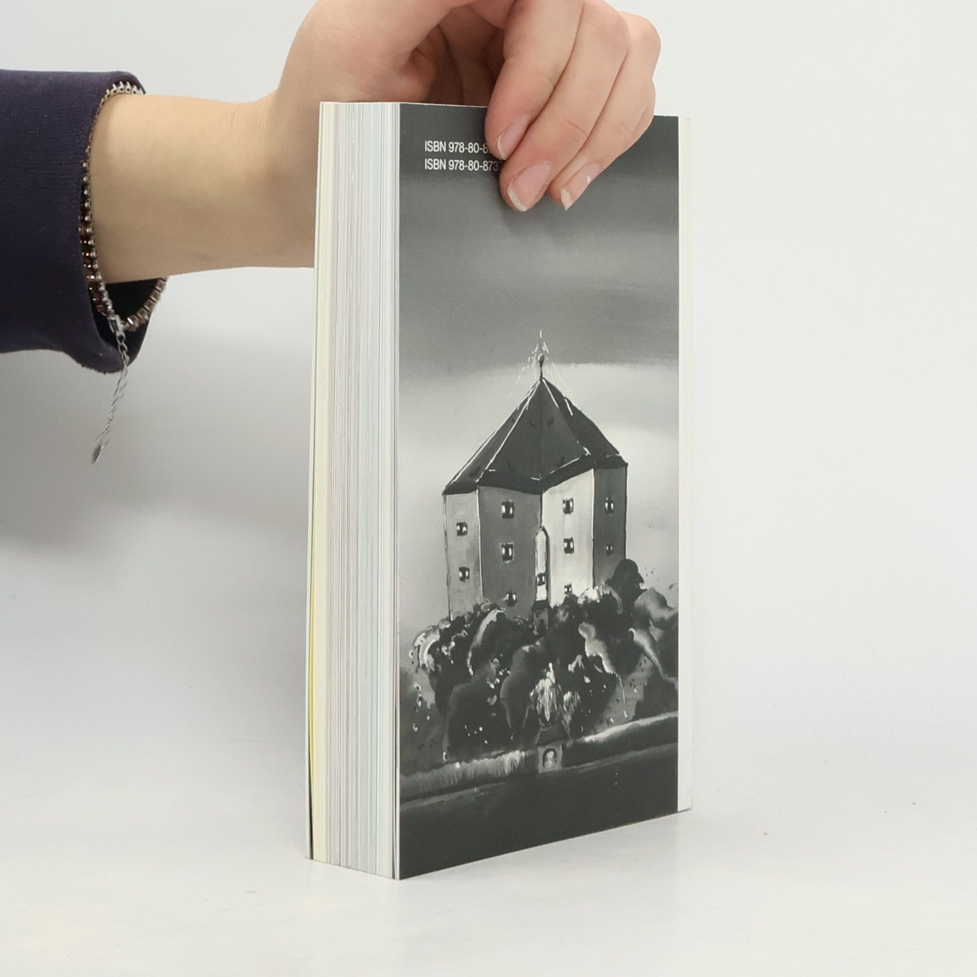 Autores varios Nejkrásnější české knihy roku 2015. The Most Beautiful Czech Books of the Year 2015.