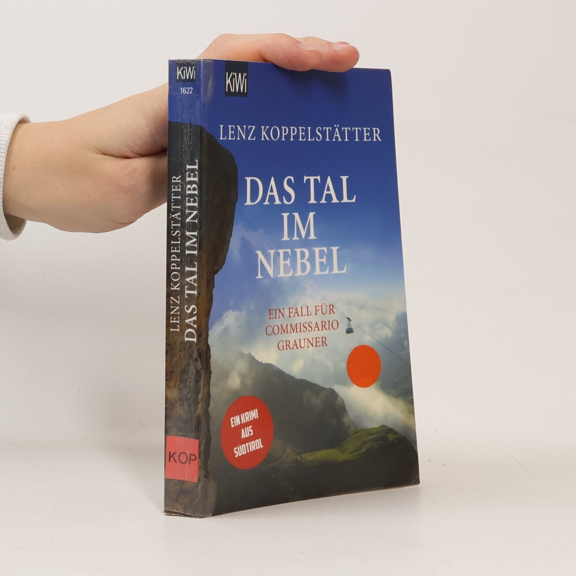 Das Tal im Nebel