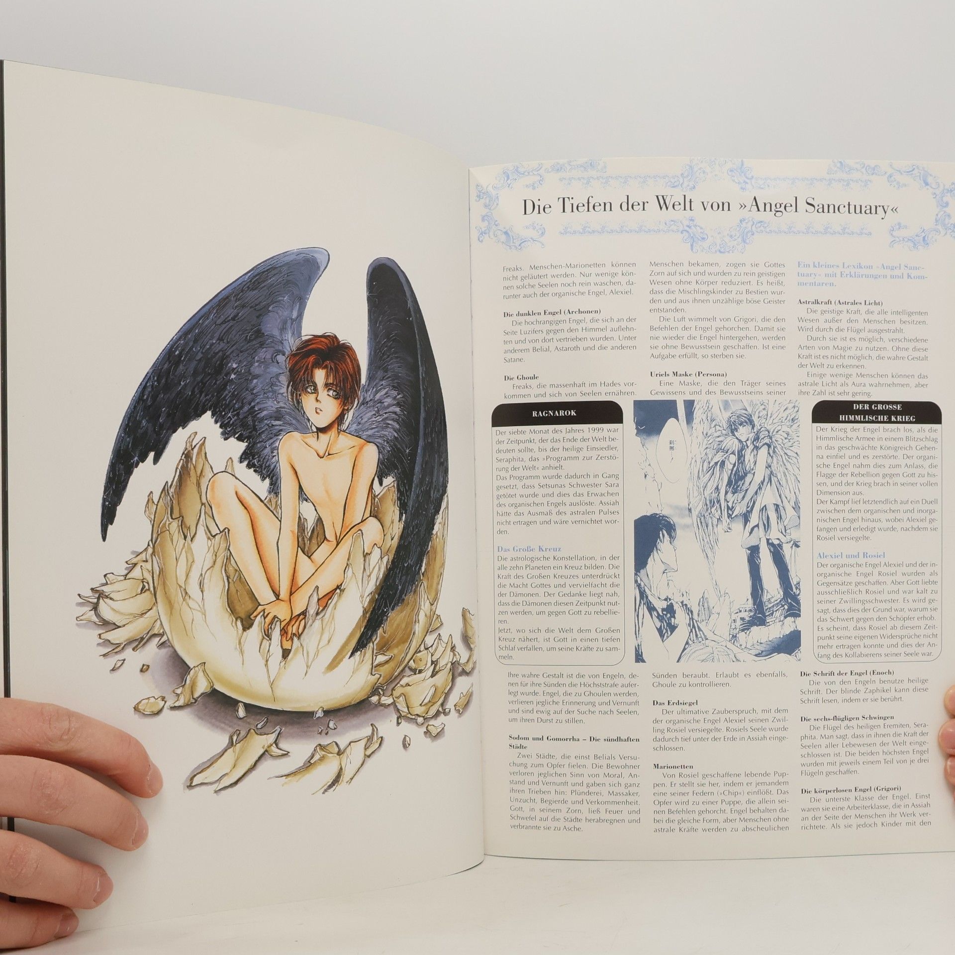 Kaori Yuki Angel Sanctuary Artbook. Angel Cage