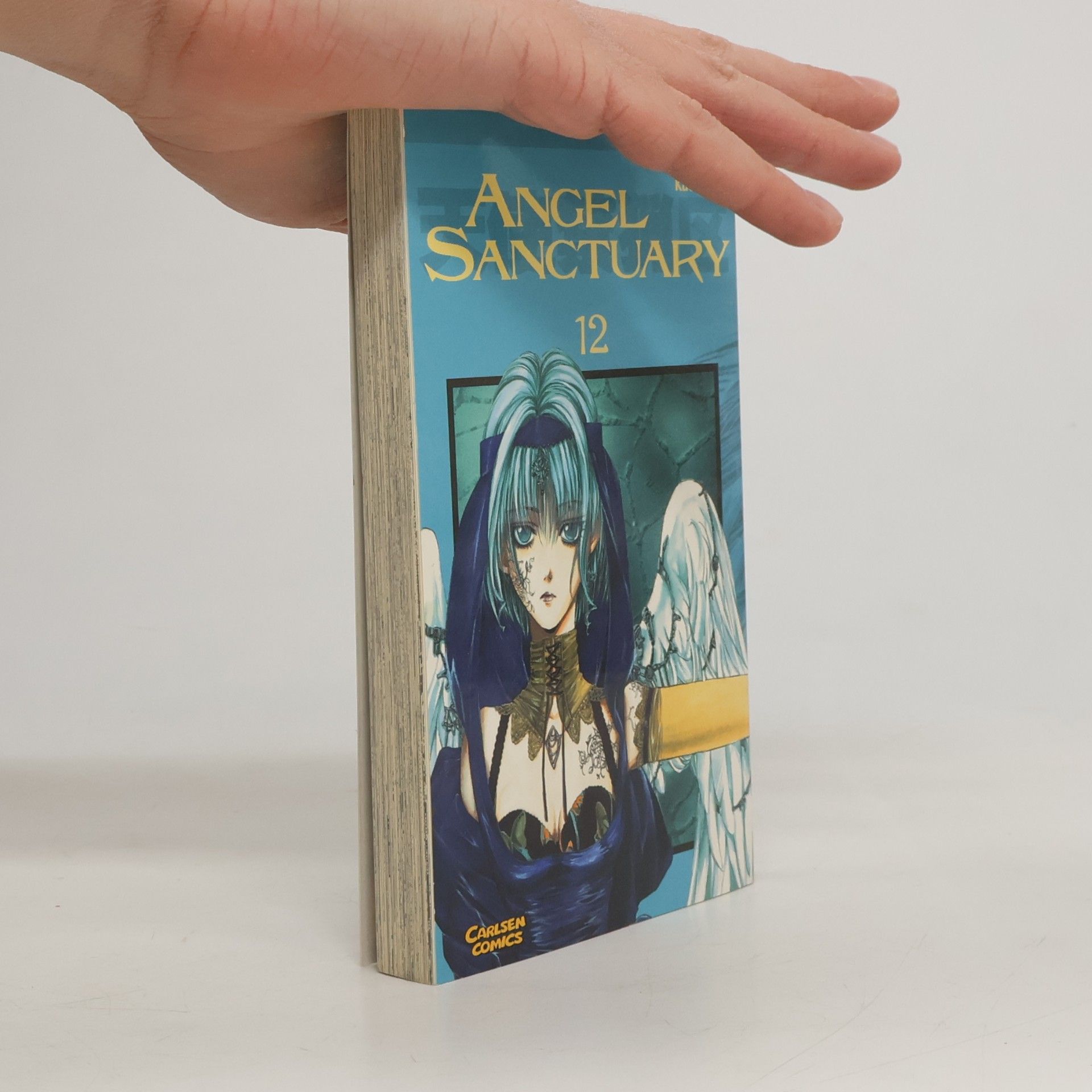 Angel Sanctuary 12