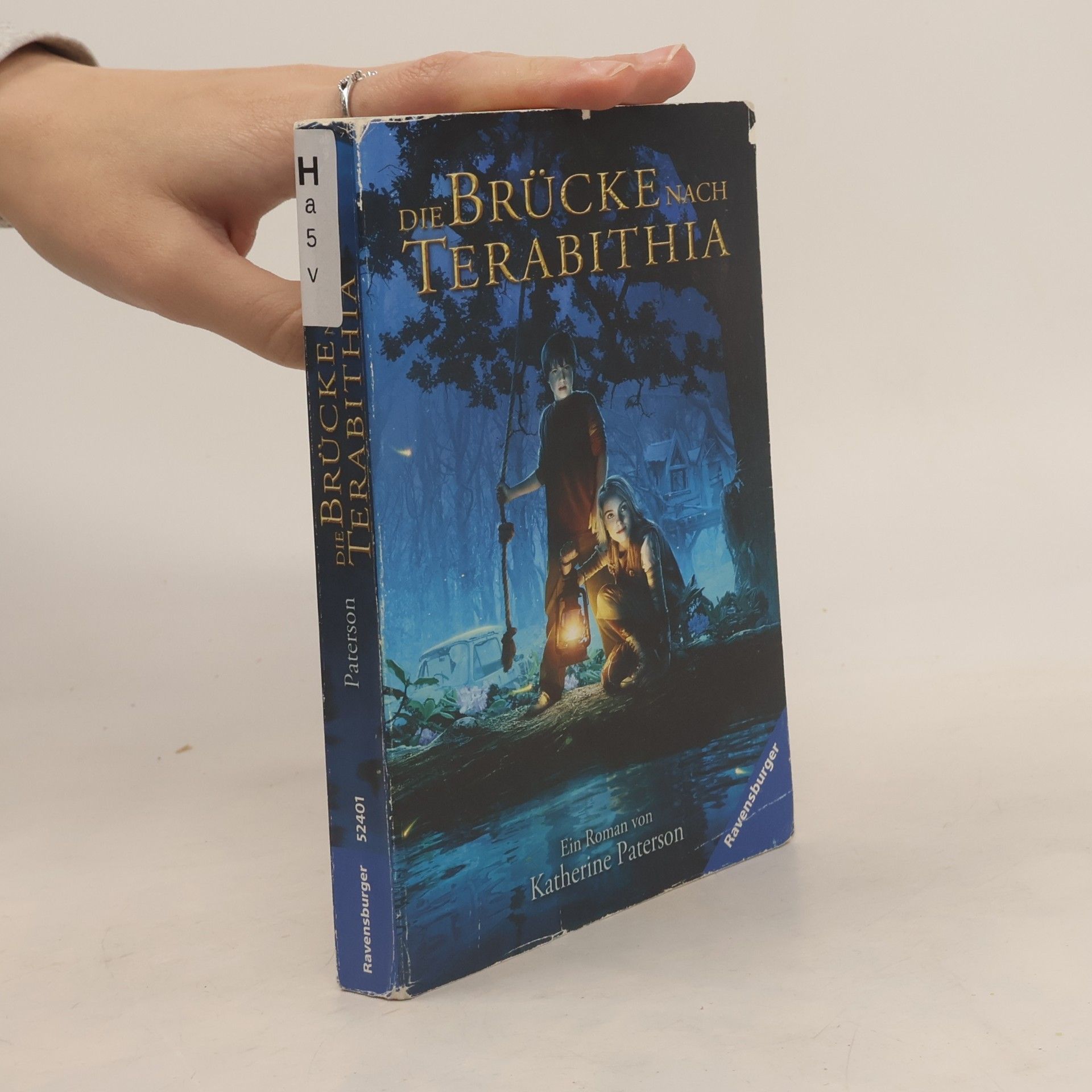 Die Brücke nach Terabithia