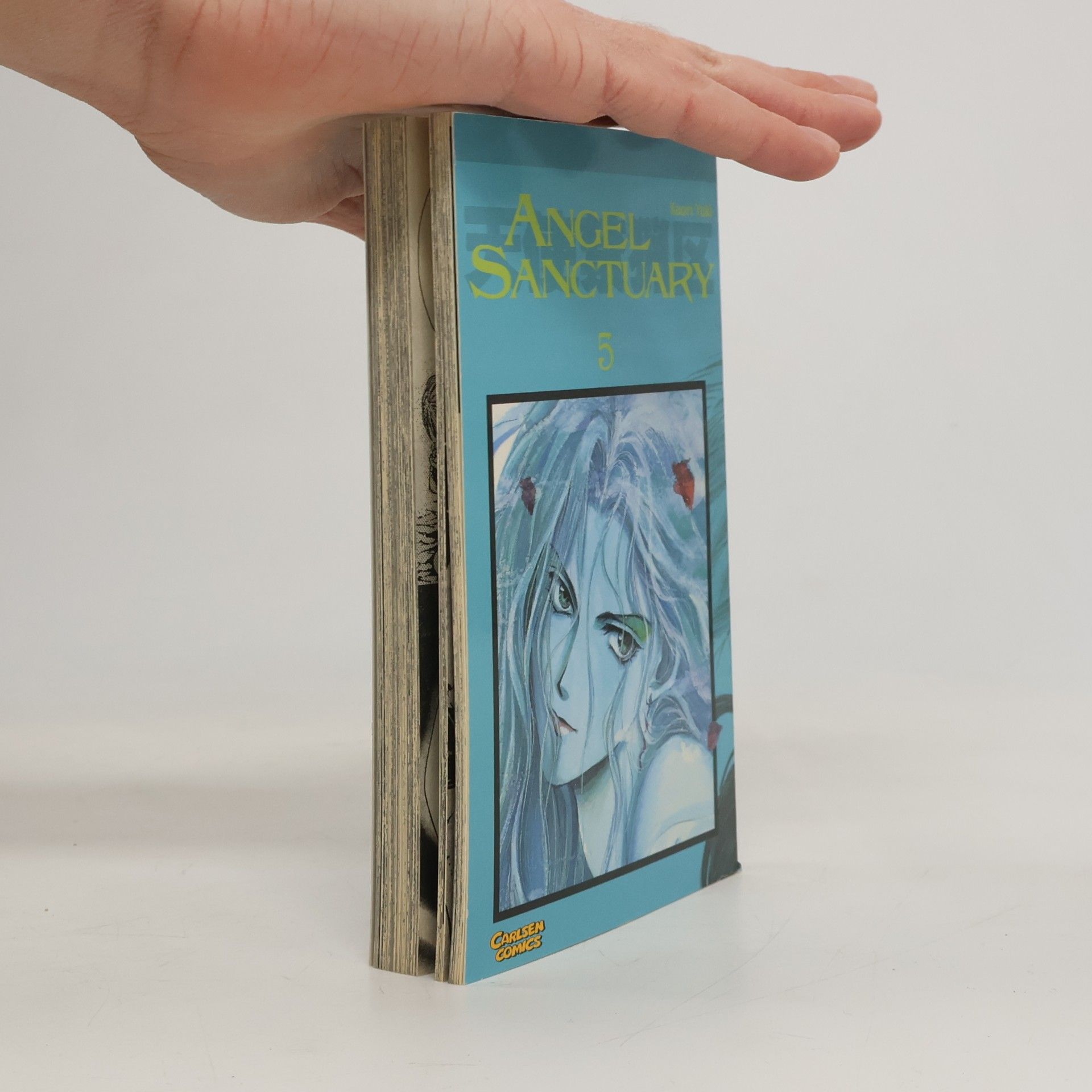 Angel Sanctuary 5