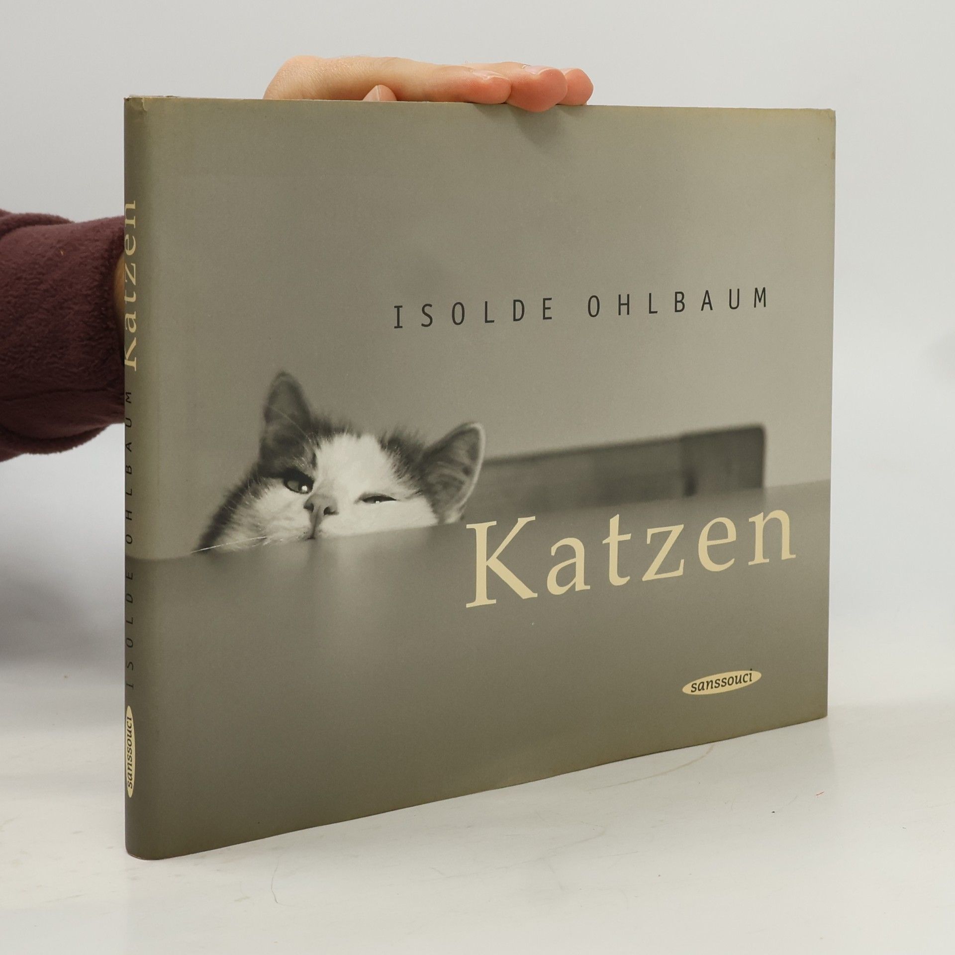 Katzen