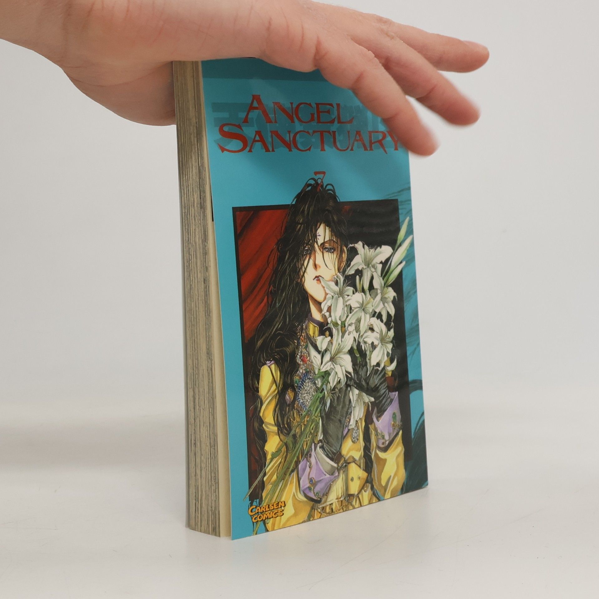 Angel Sanctuary 7