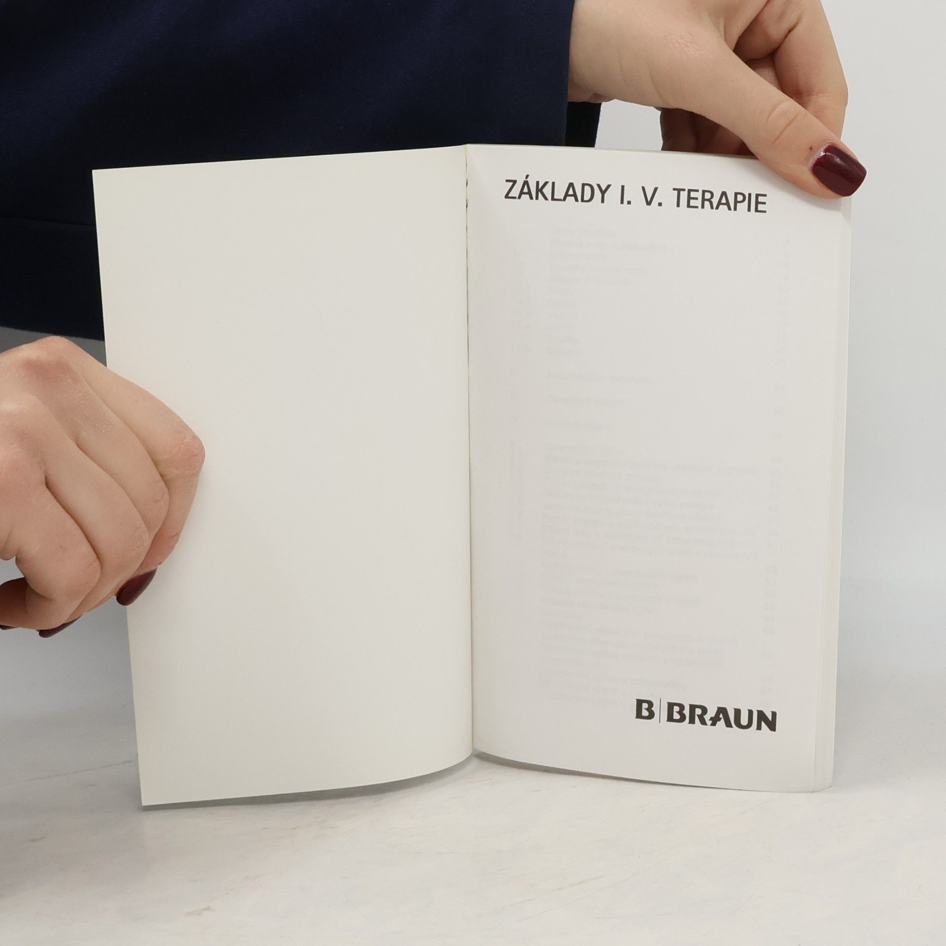 Auteurscollectief Základy I. V. Terapie