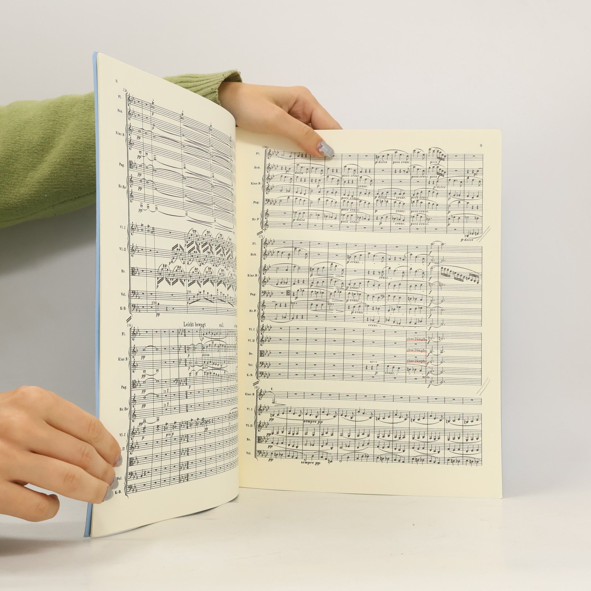 Richard Wagner Siegfried-Idyll