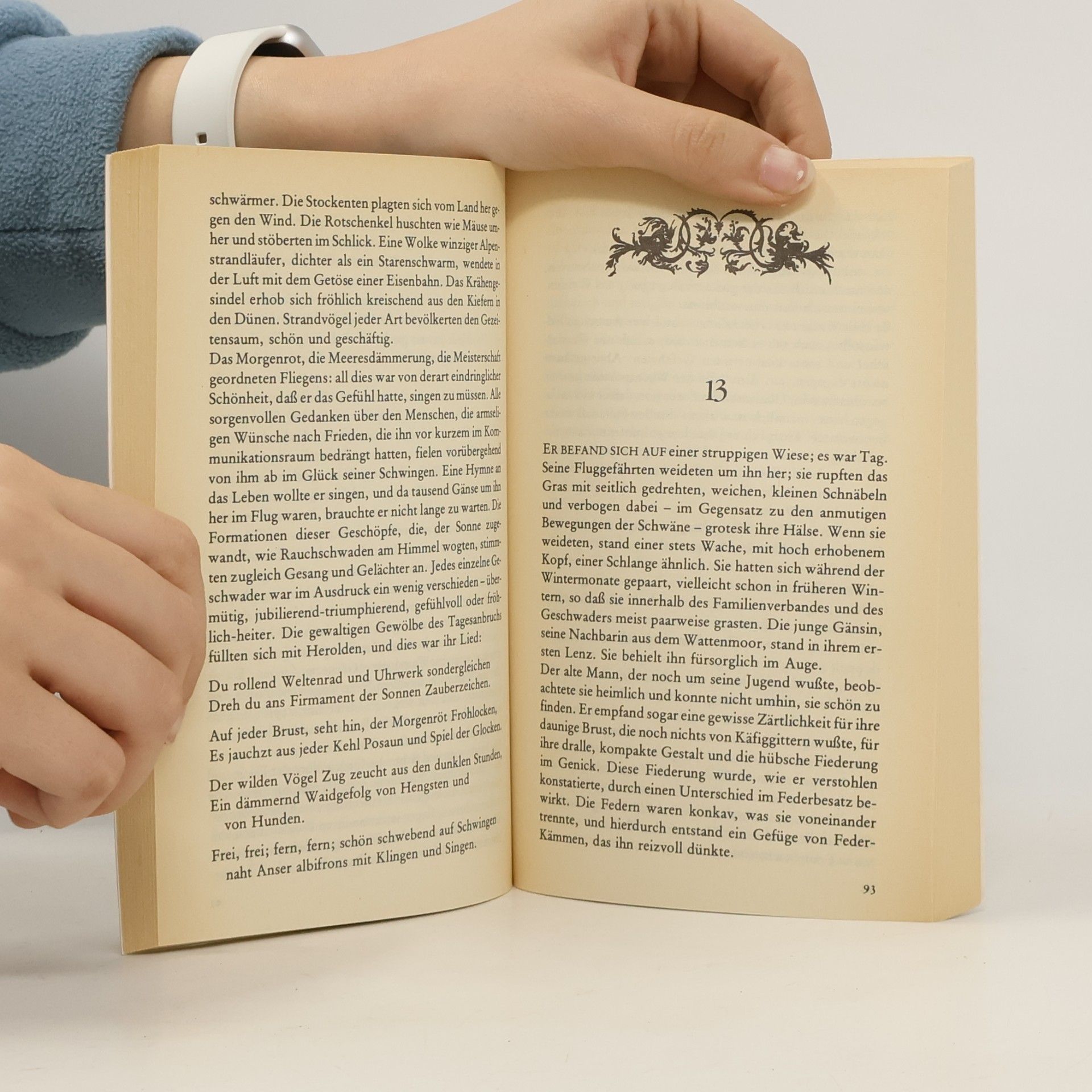 T. H. White Das Buch Merlin