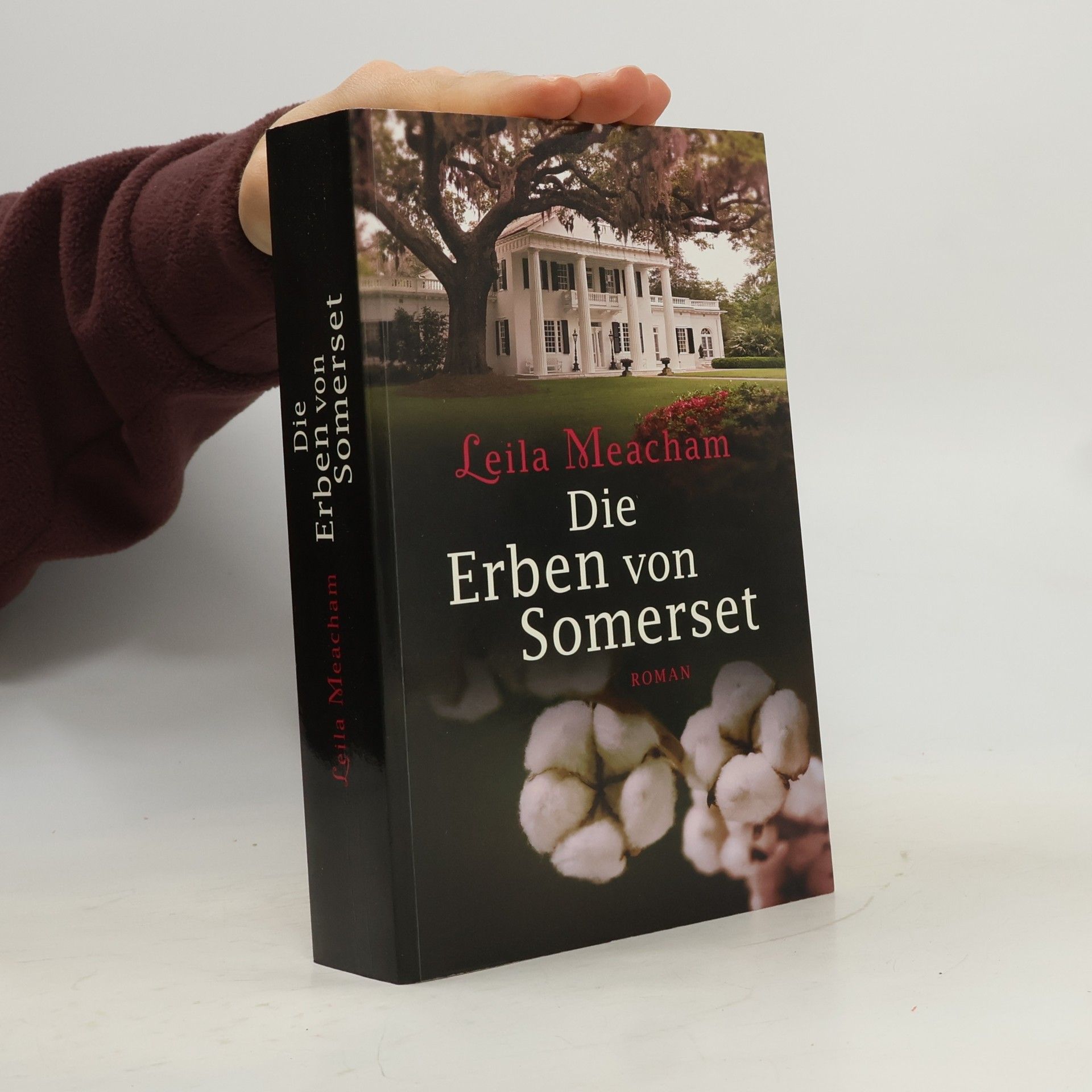 Die Erben von Somerset