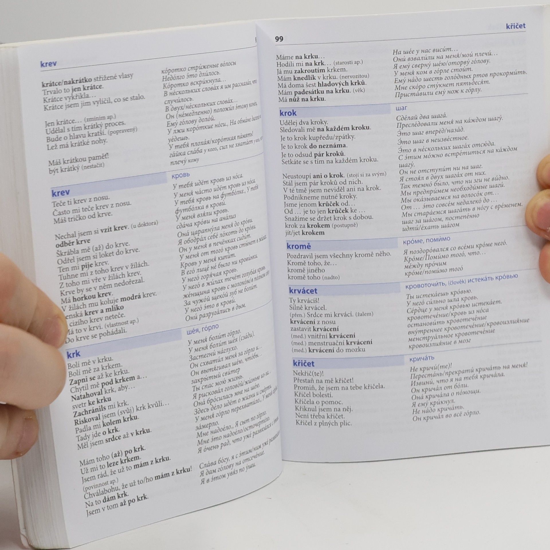 Various authors Česko-ruský mluvník