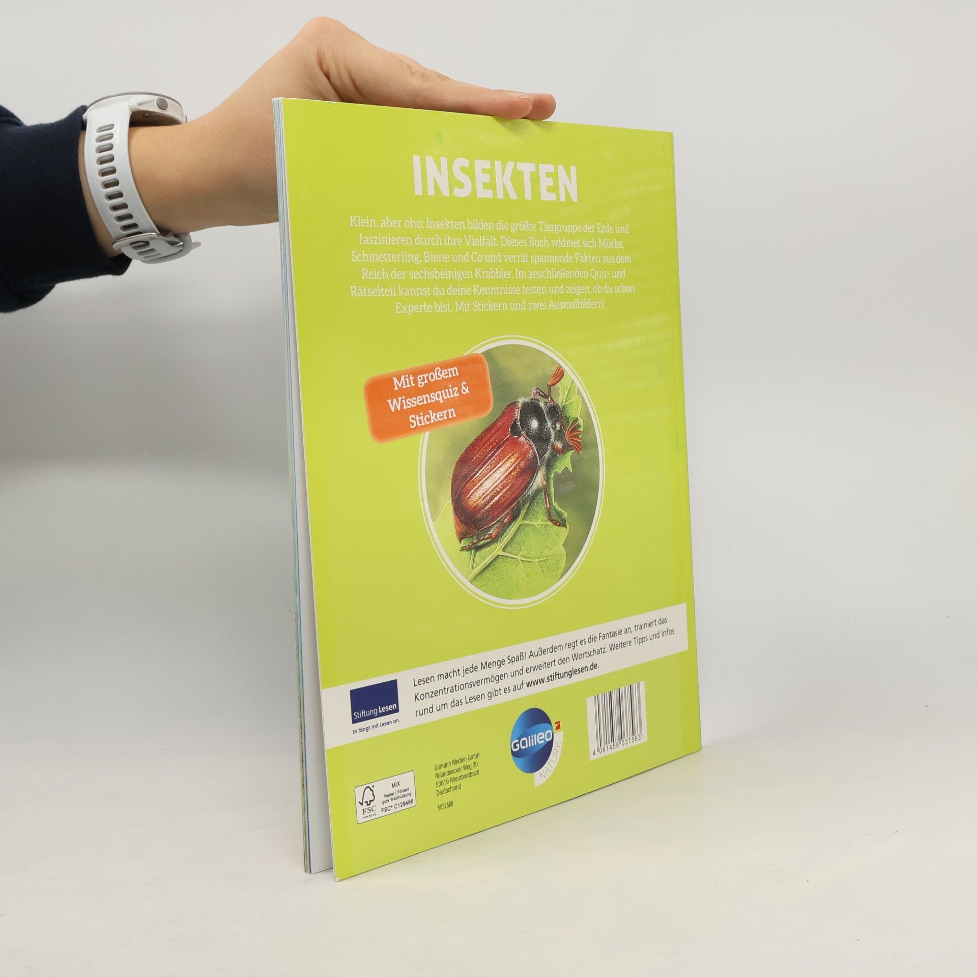 MarieChristine Lemayeur INSEKTEN