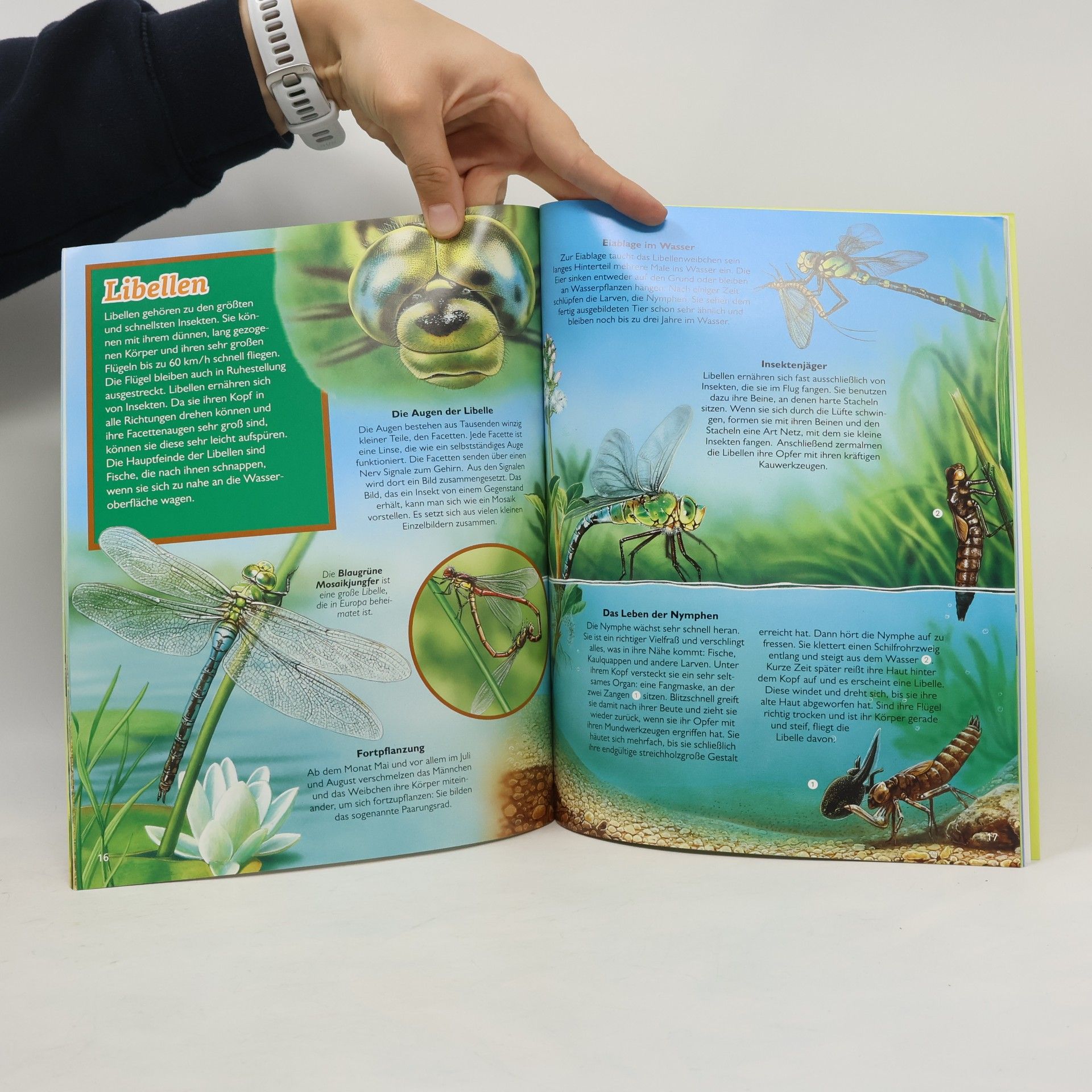 MarieChristine Lemayeur INSEKTEN