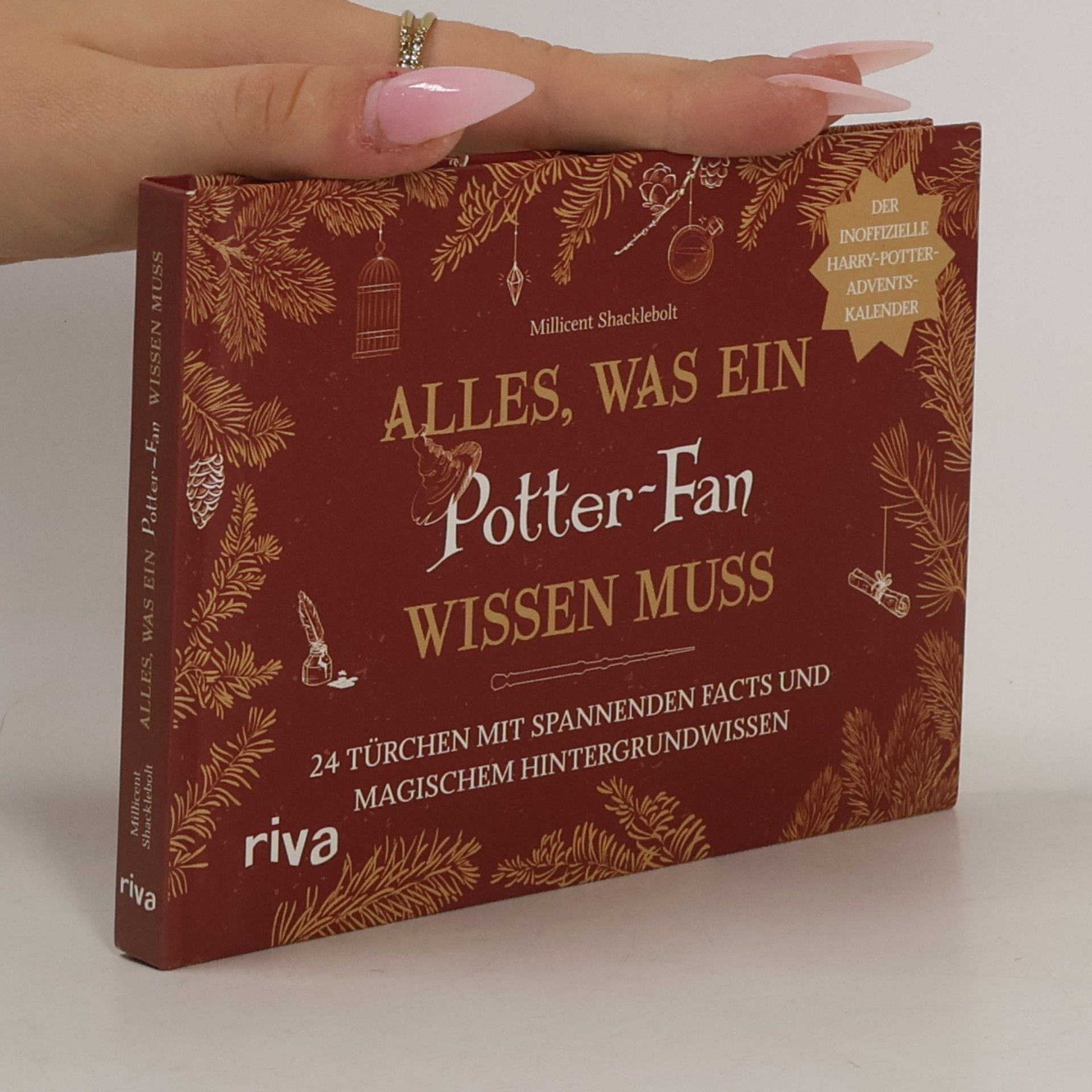 Alles, was ein Potter-Fan wissen muss