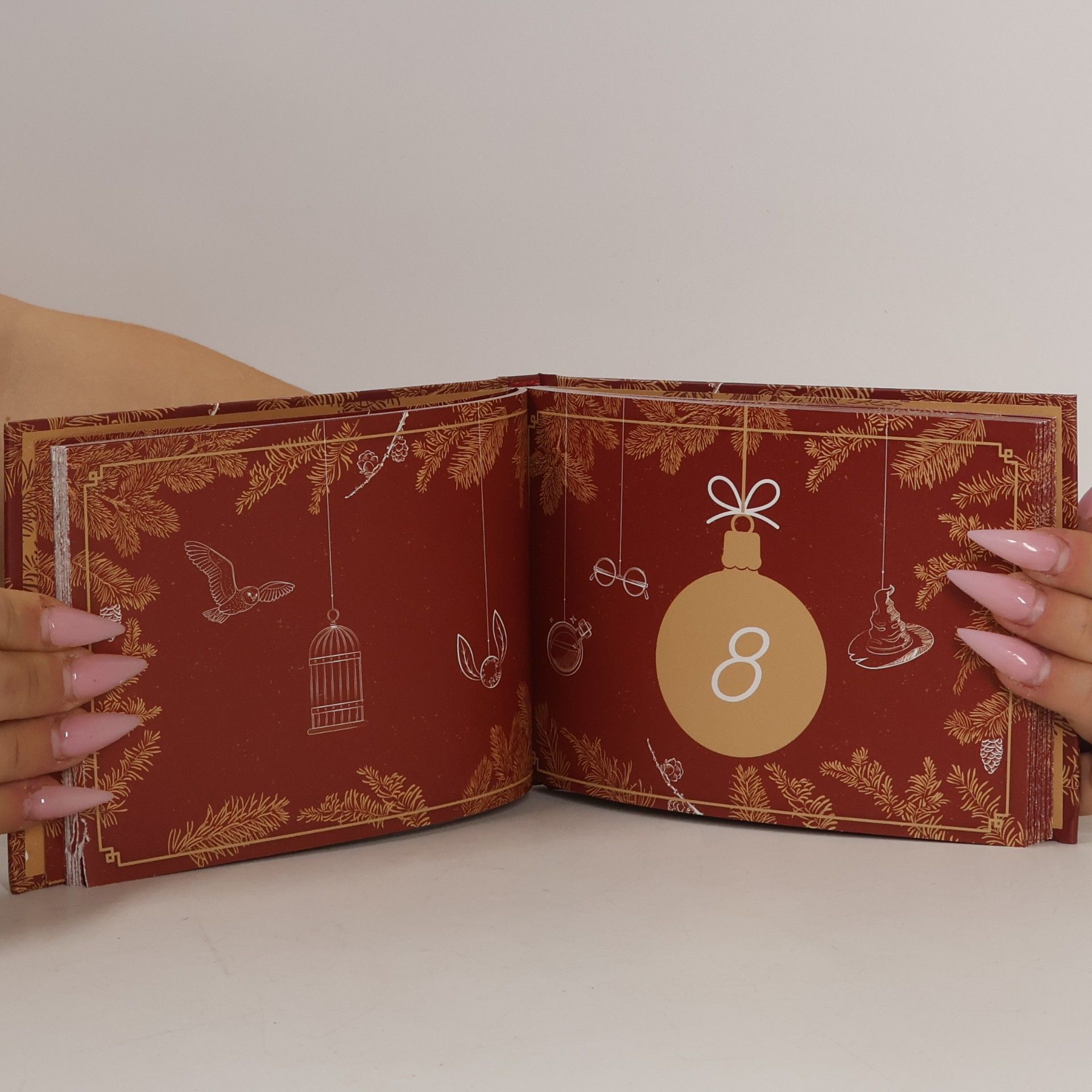 Millicent Shacklebolt Alles, was ein Potter-Fan wissen muss