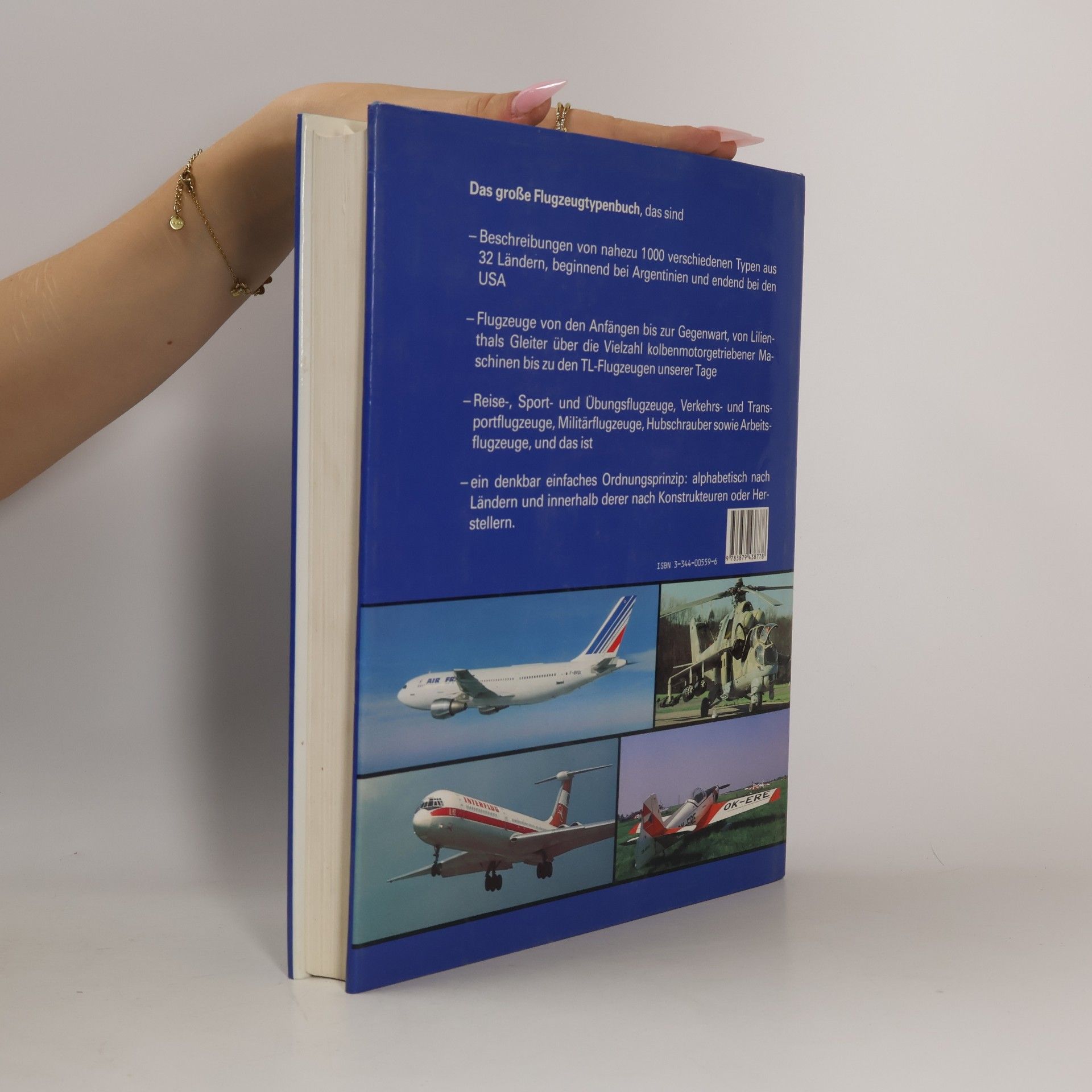 Wilfried Kopenhagen Das Grosse Flugzeug Typenbuch