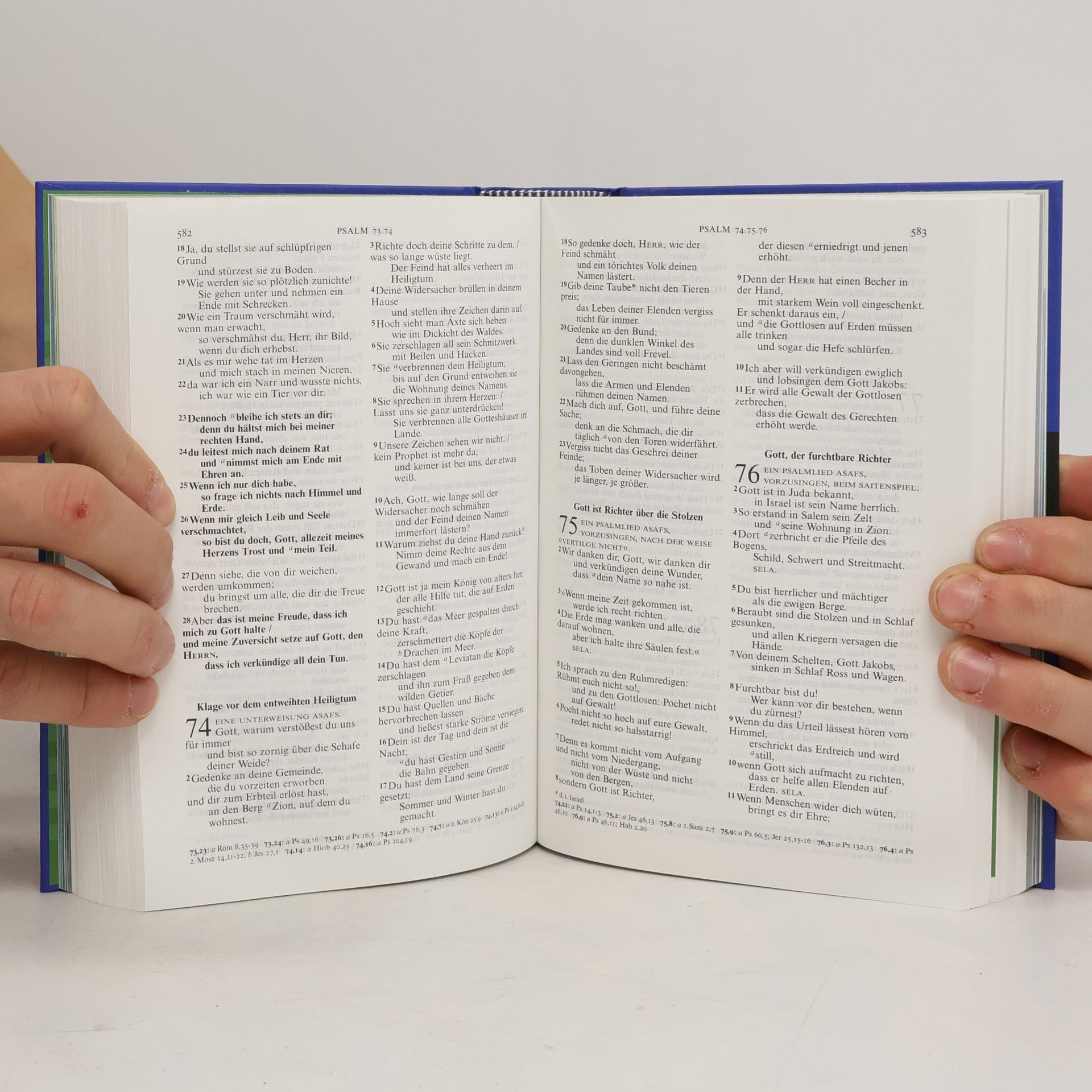 Martin Luther Die neue Lutherbibel für dich