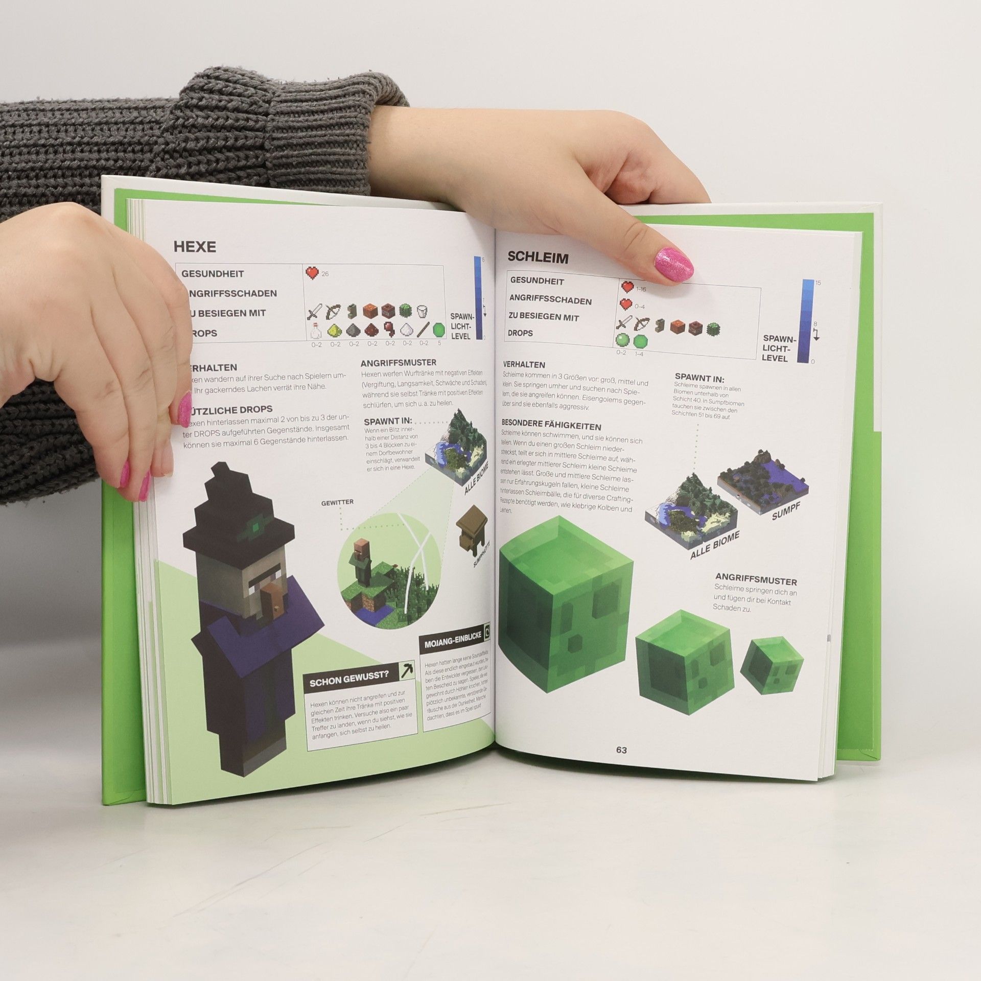 Stephanie Milton Minecraft - Handbuch für Entdecker