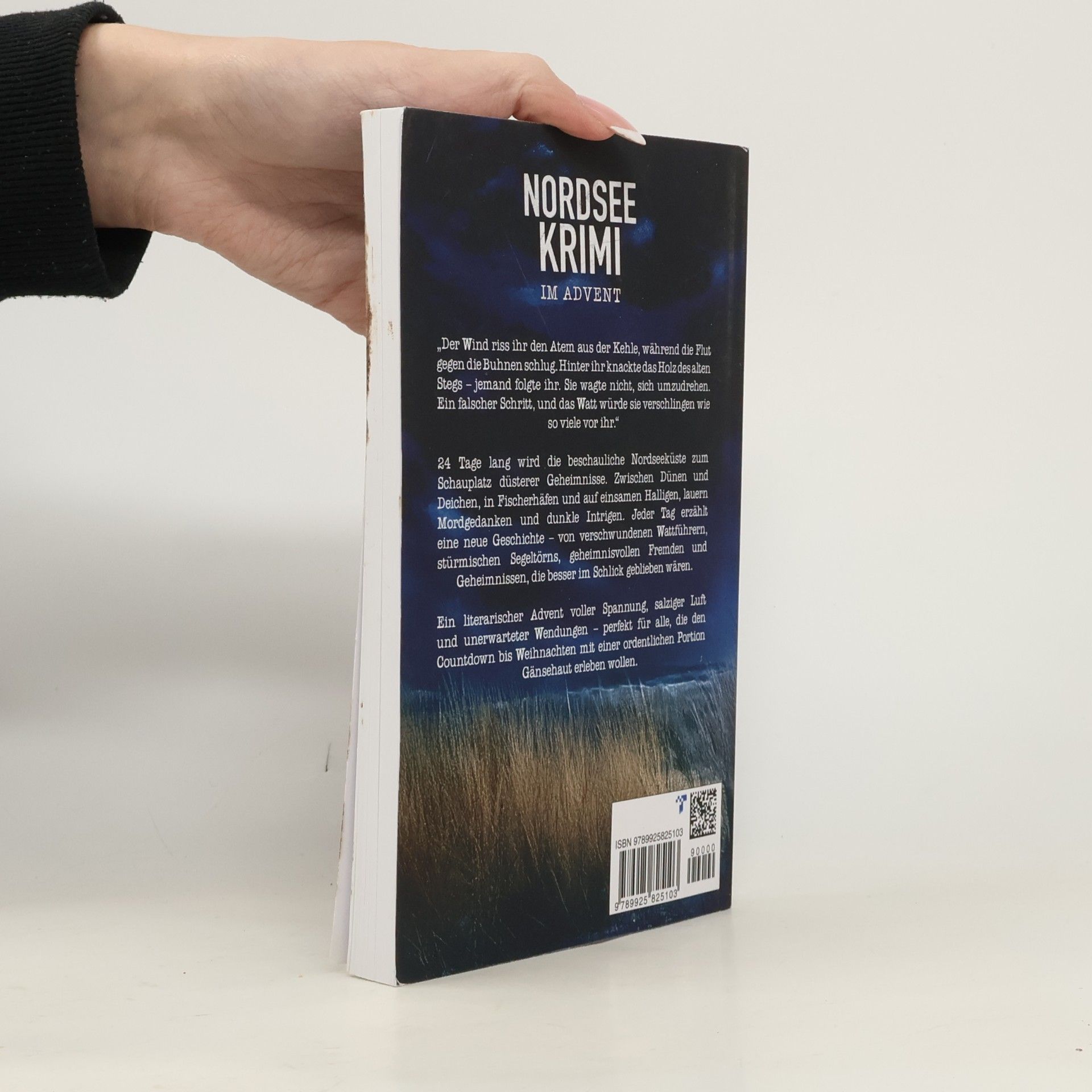 Elke Ahrens Nordsee Krimi: Im Advent