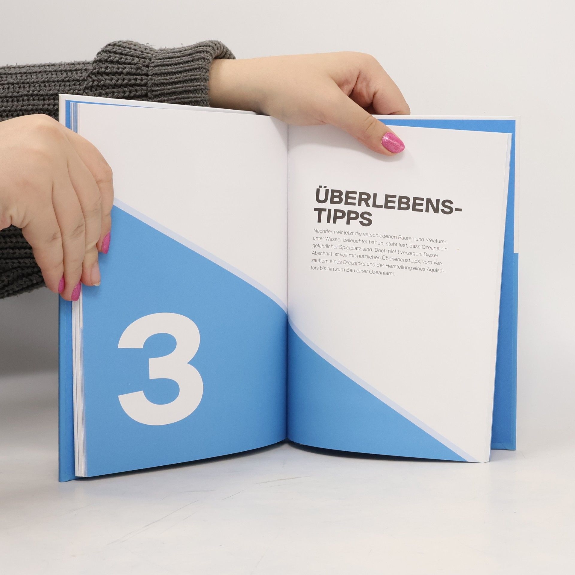 Stephanie Milton Minecraft, Handbuch Überleben im Wasser