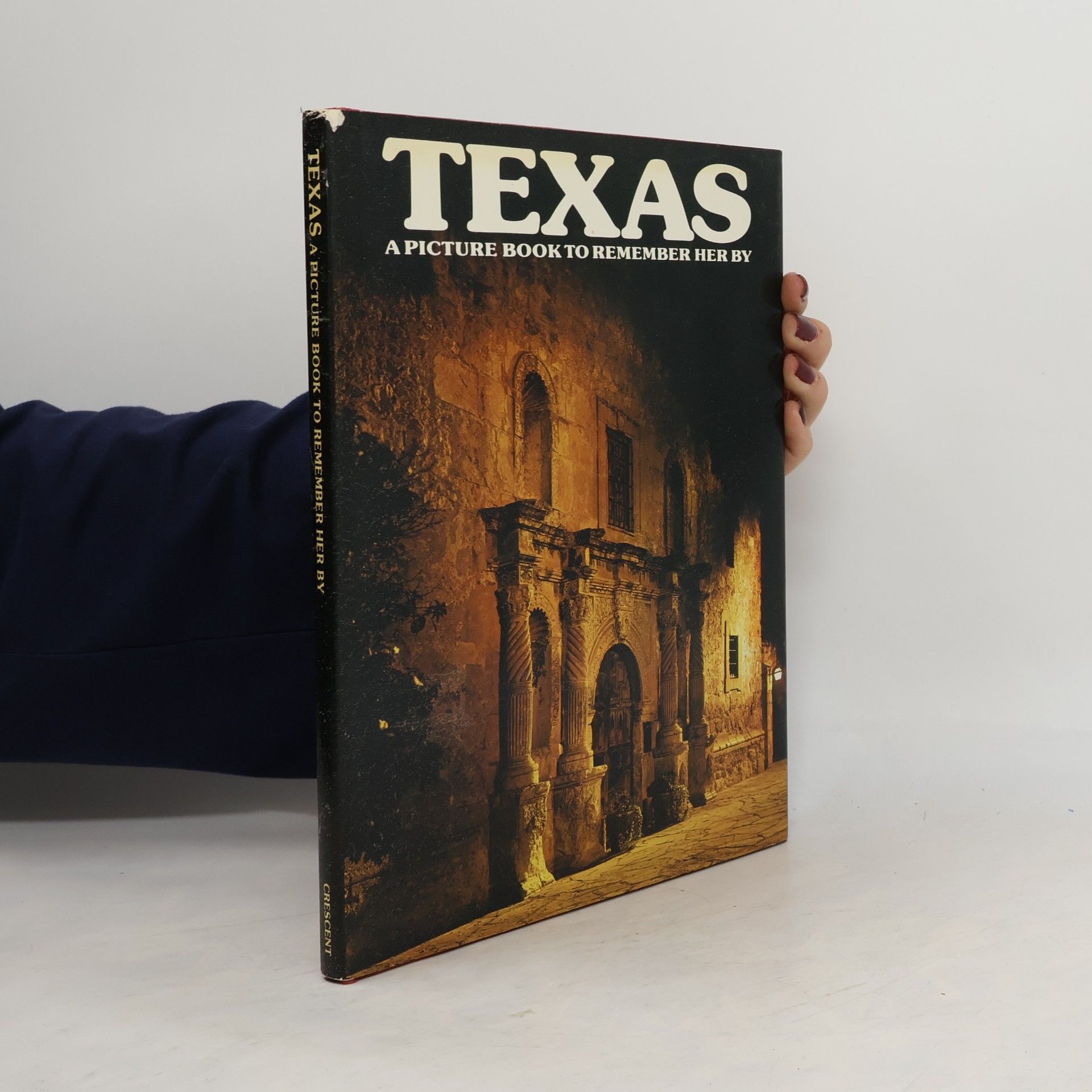 Collectif d'auteurs Texas. A Picture Book to Remember her by