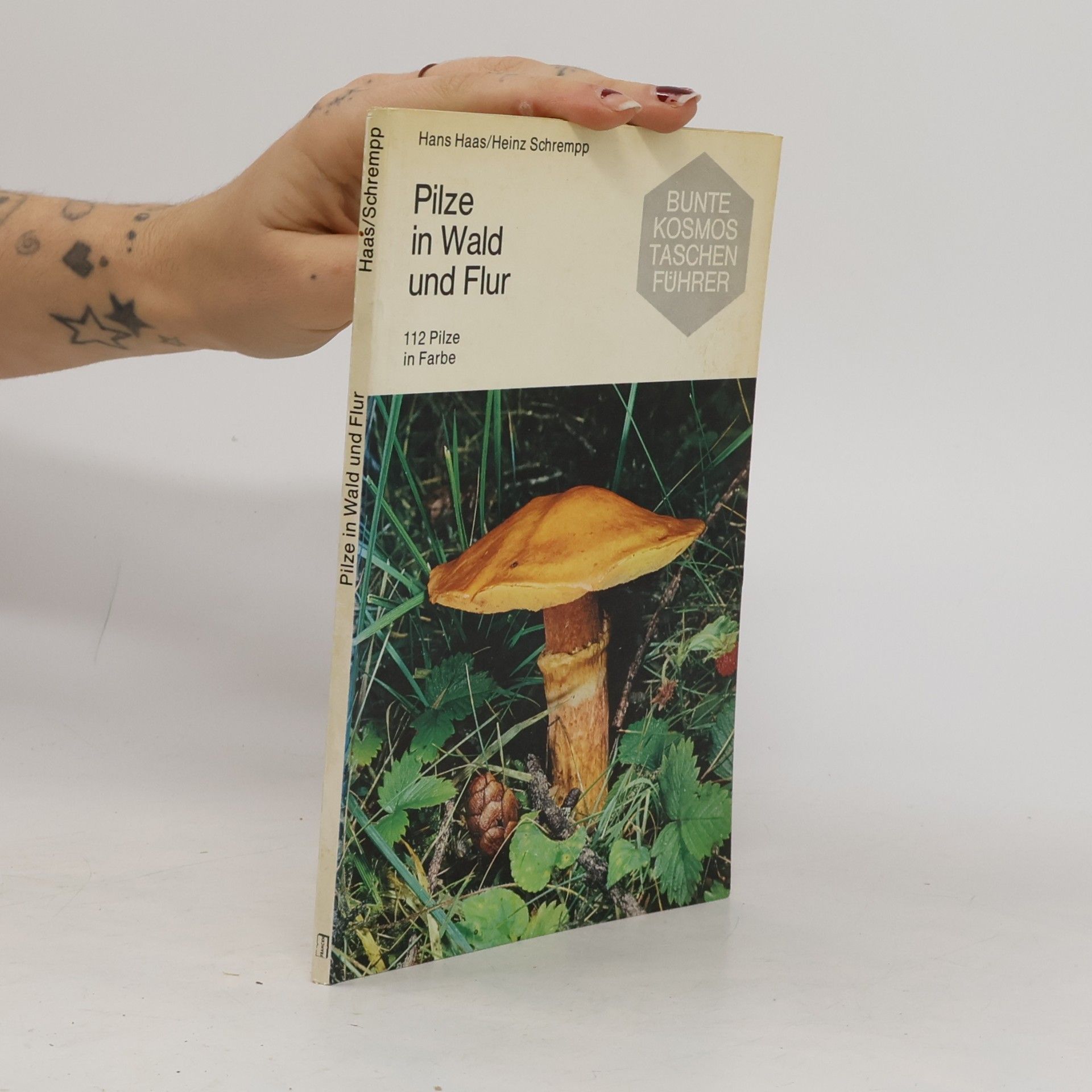 Pilze in Wald und Flur