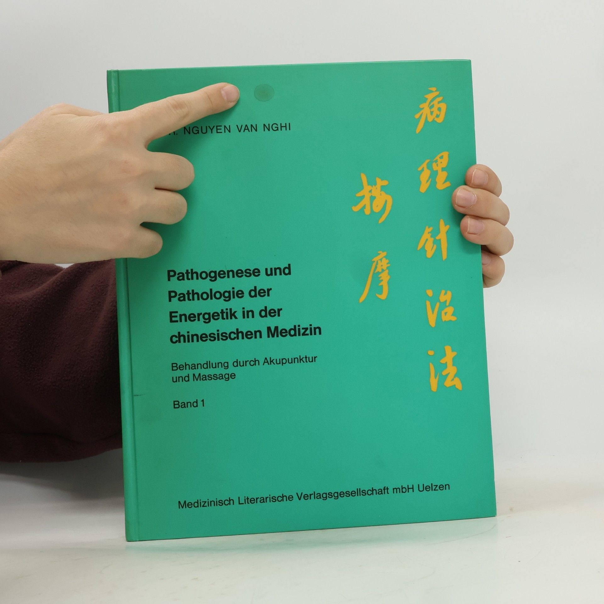 Van Nghi Nguyen Pathogenese und Pathologie der Energetik in der chinesischen Medizin