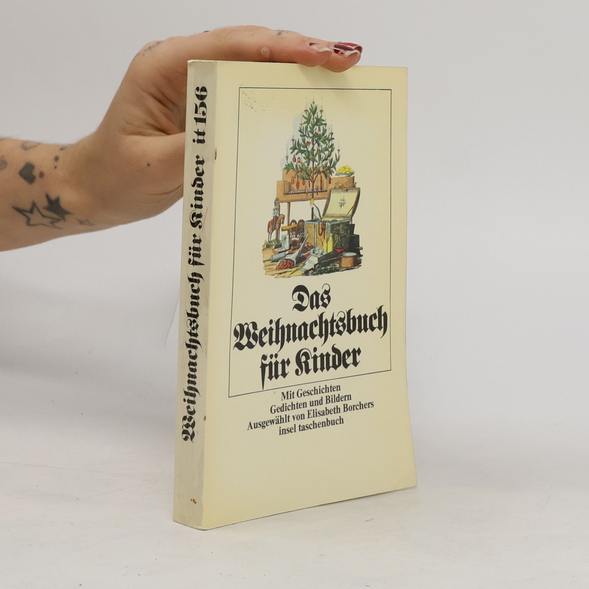 Das Weihnachtsbuch für Kinder. Mit Geschichten, Gedichten und Bildern