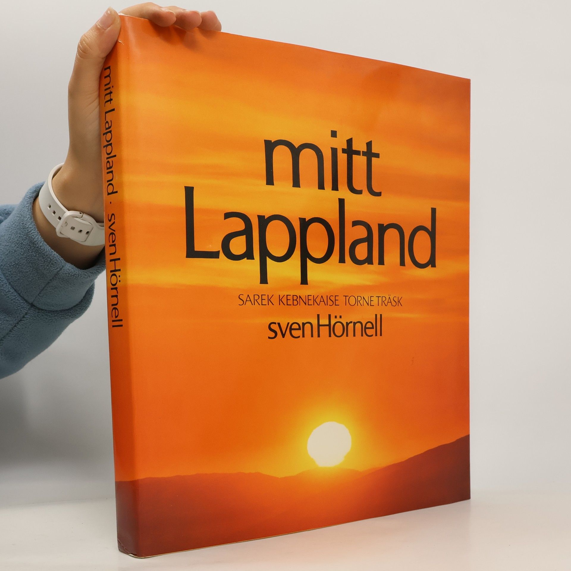 Mitt Lappland