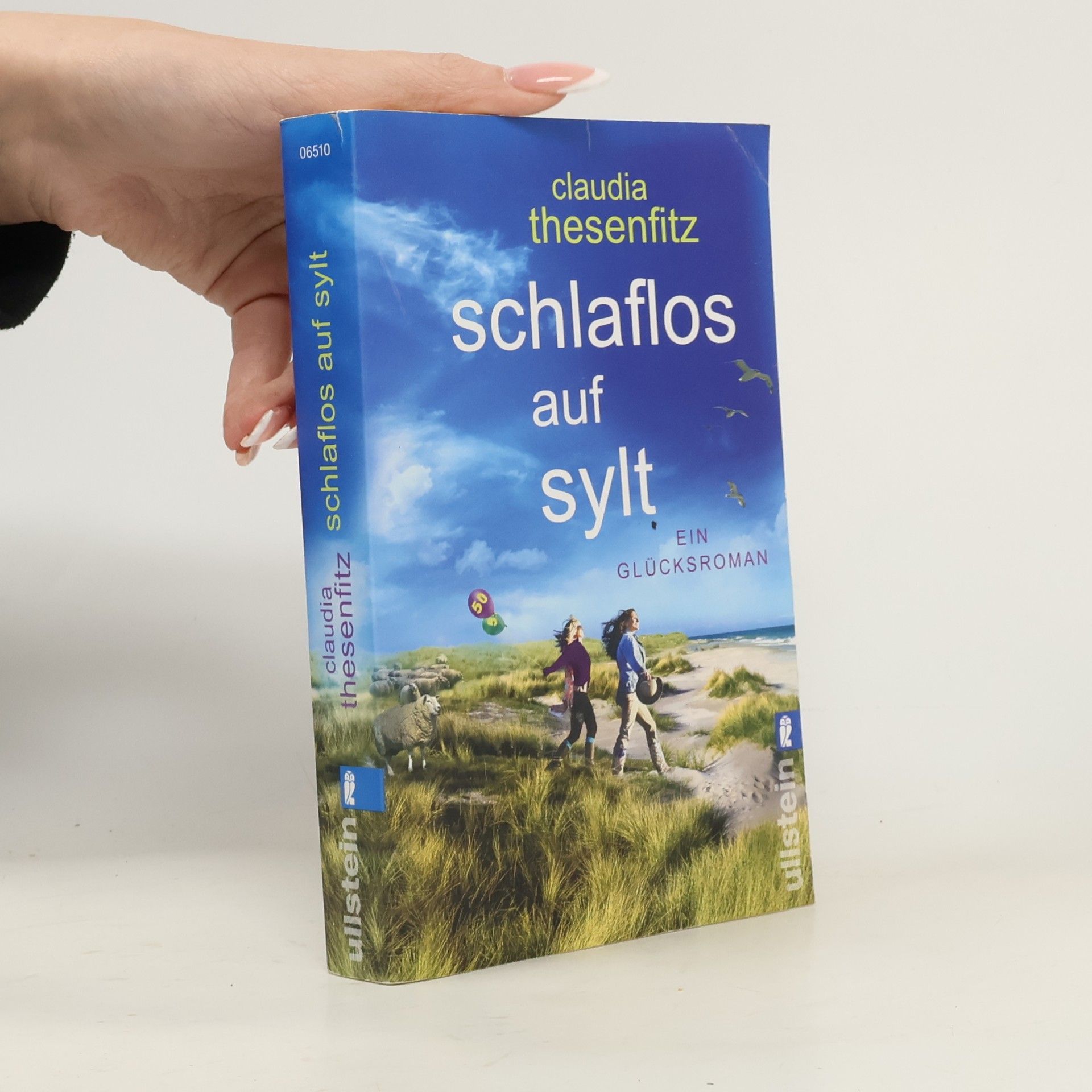 Claudia Thesenfitz Schlaflos auf Sylt