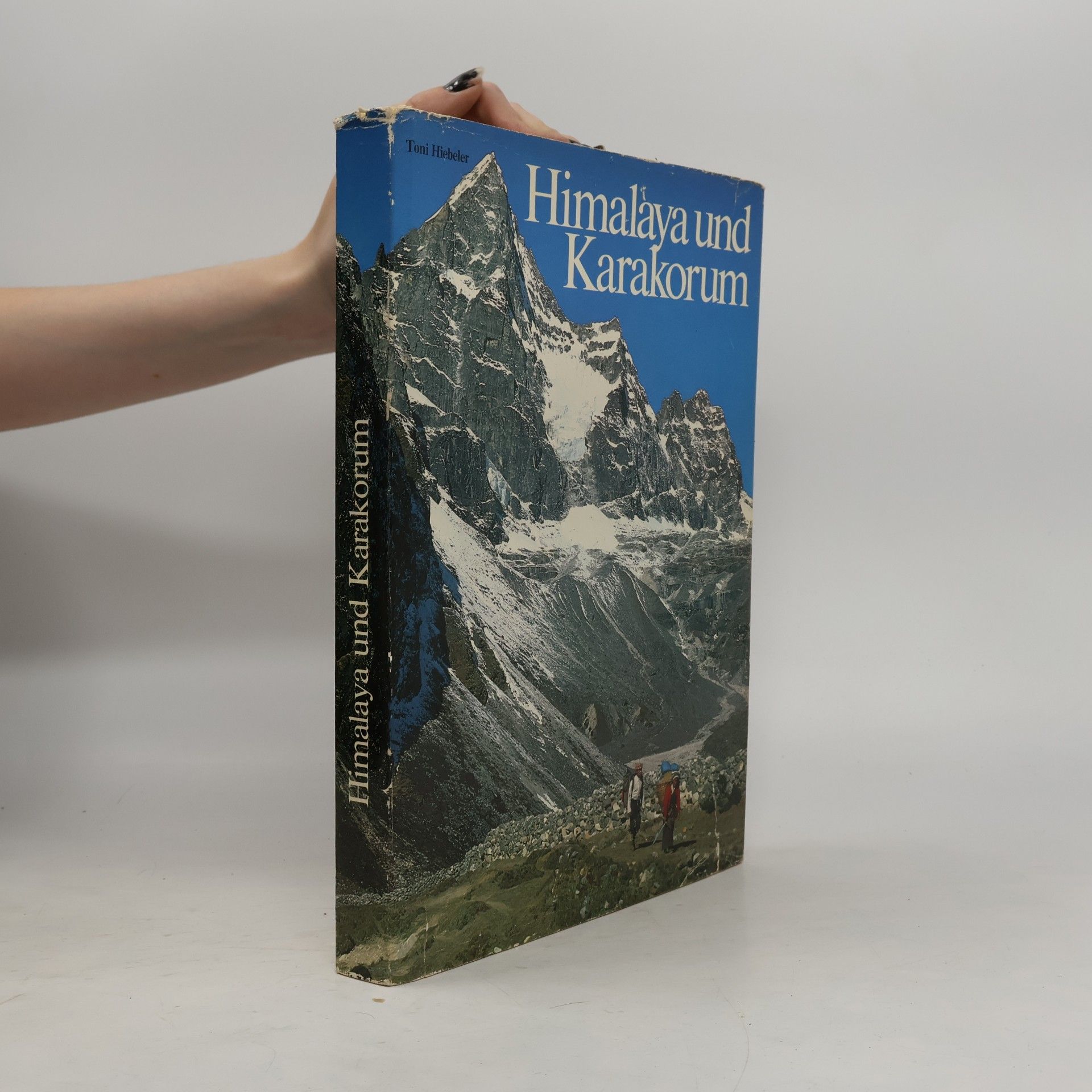 Himalaya und Karakorum