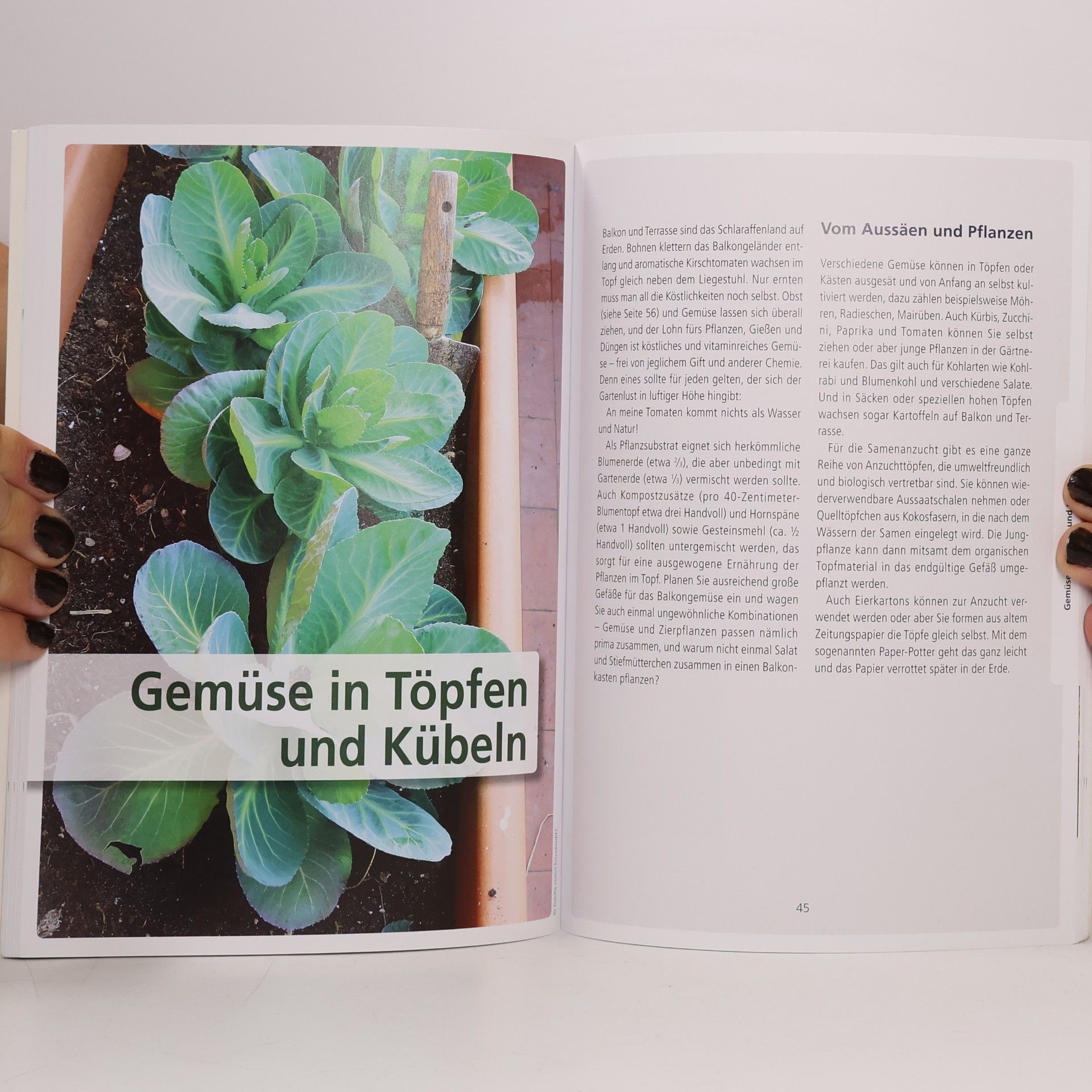 Karl Ploberger Balkone und Terrassen für intelligente Faule naturnah gestalten