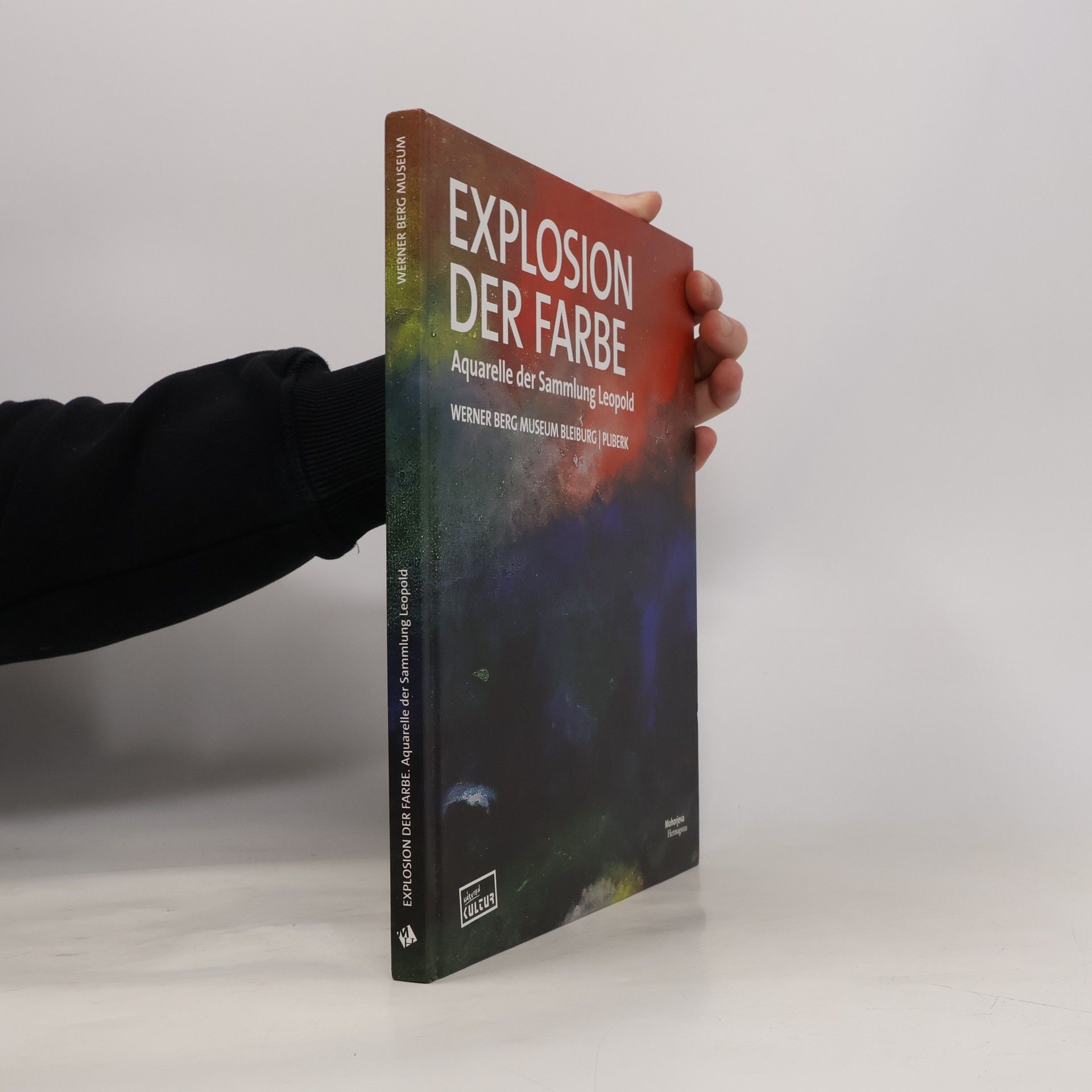 Egon Schiele Explosion der Farbe