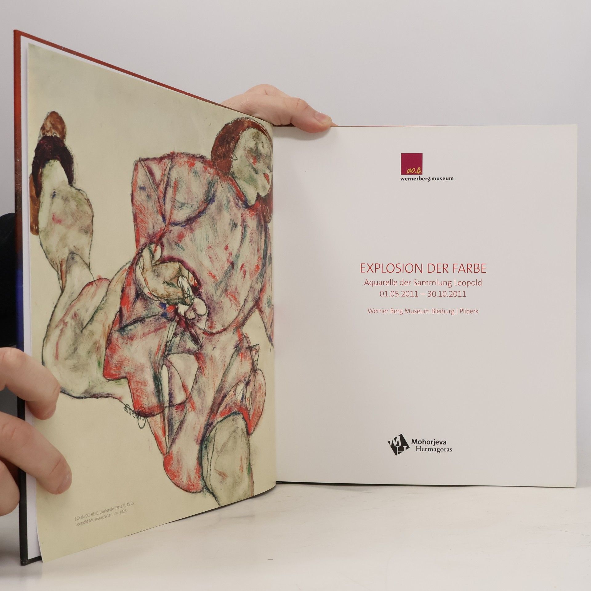 Egon Schiele Explosion der Farbe