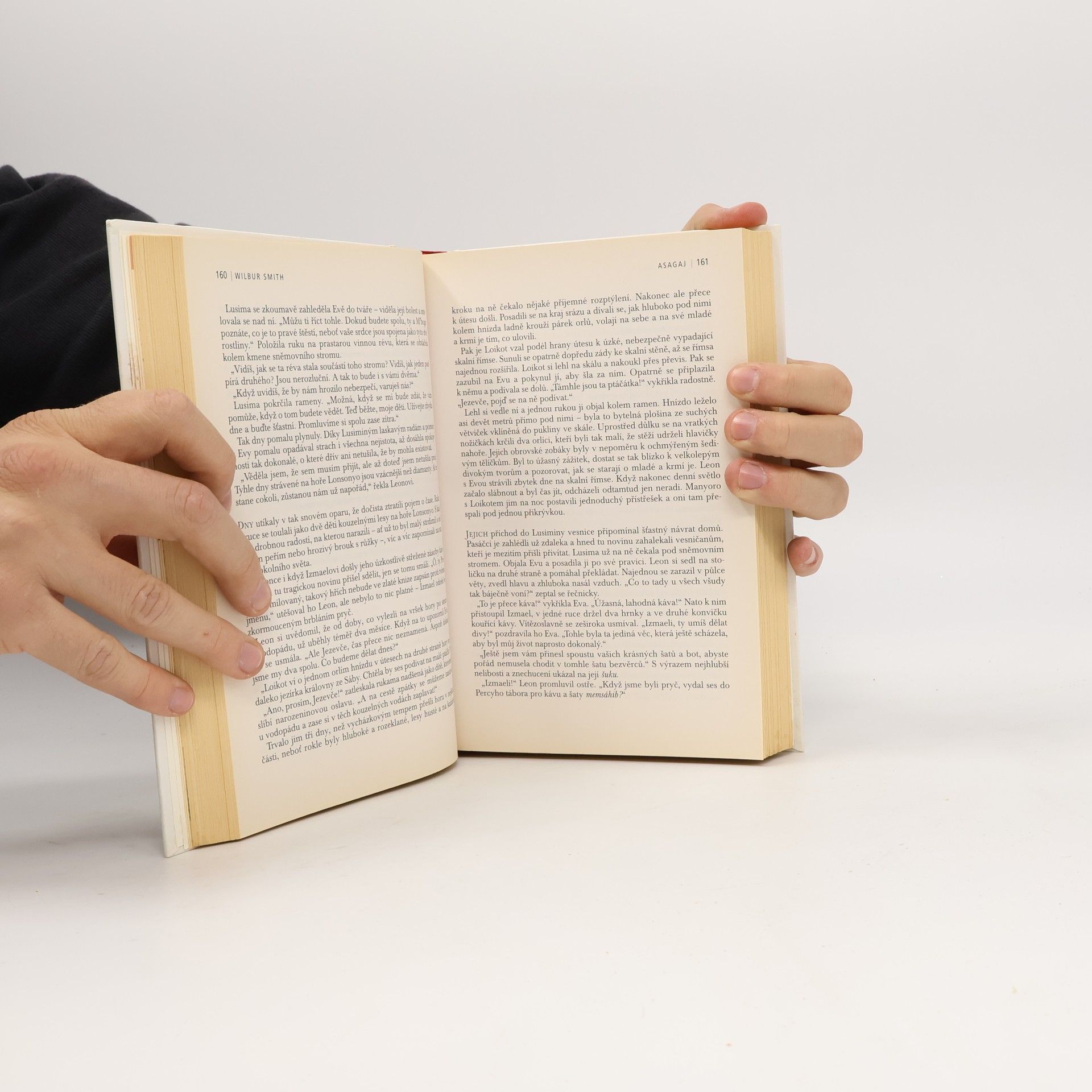 Wilbur A. Smith Asagaj, Italské lekce, Temnější než noc, Spolek přátel krásné literatury a bramborových koláčů