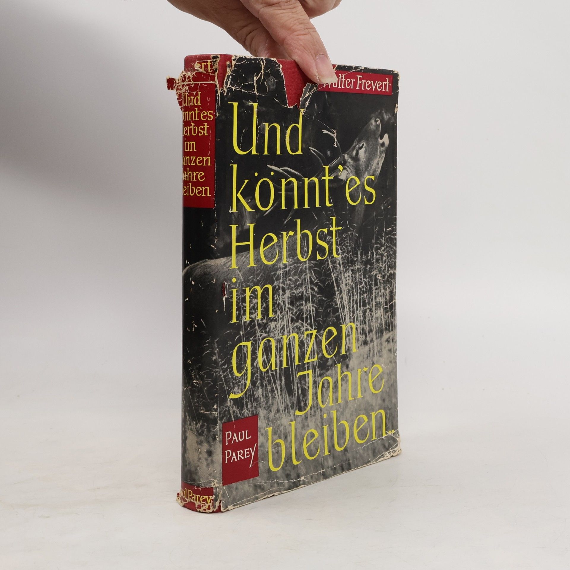 Abends bracht' ich reiche Beute