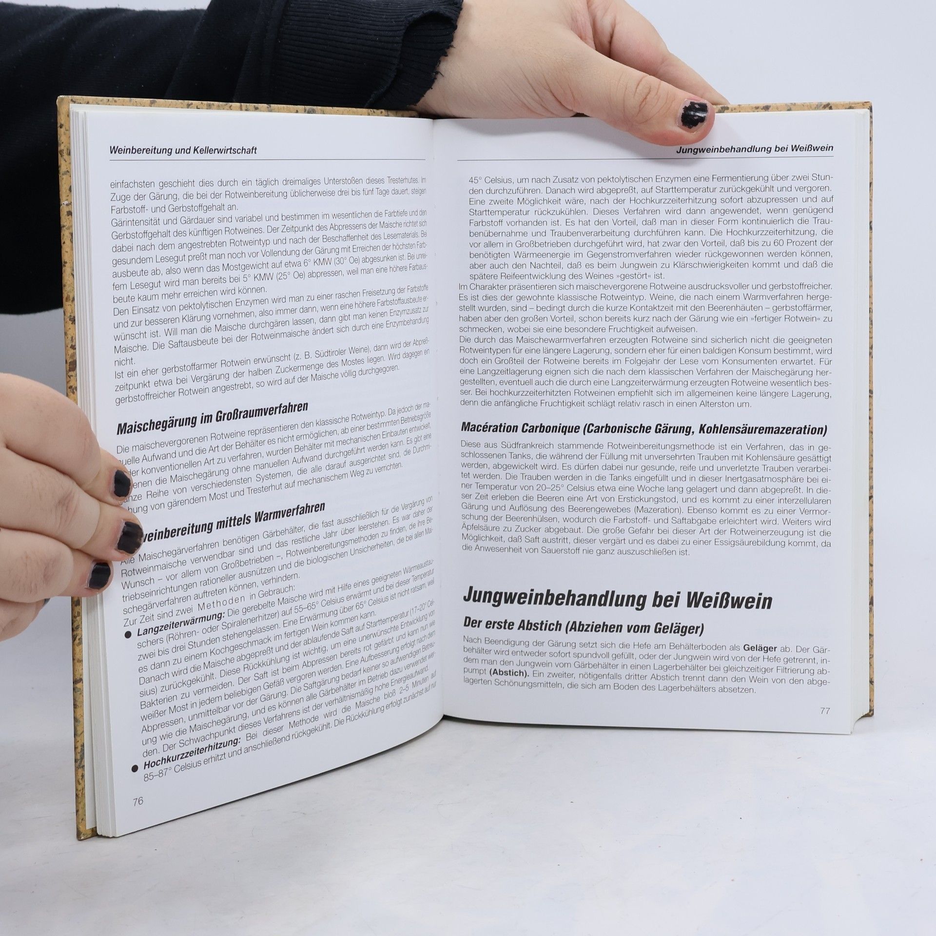 Rudolf Steurer Weinhandbuch